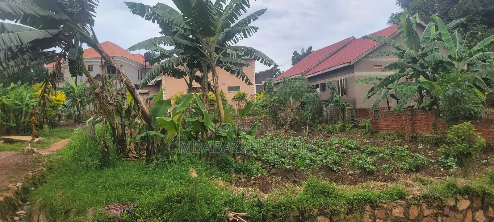 Plot for Sale in Nabweru