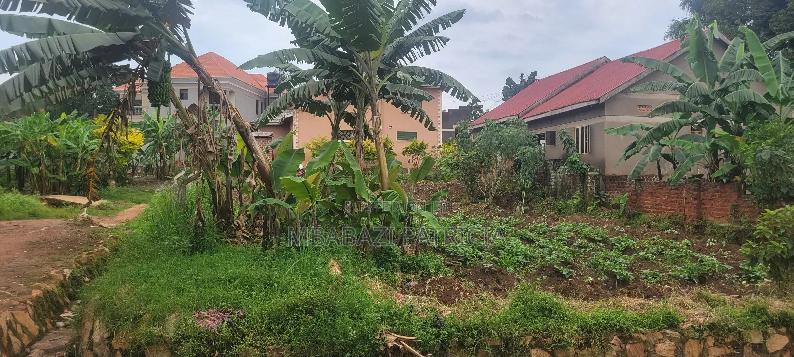 Plot for Sale in Nabweru