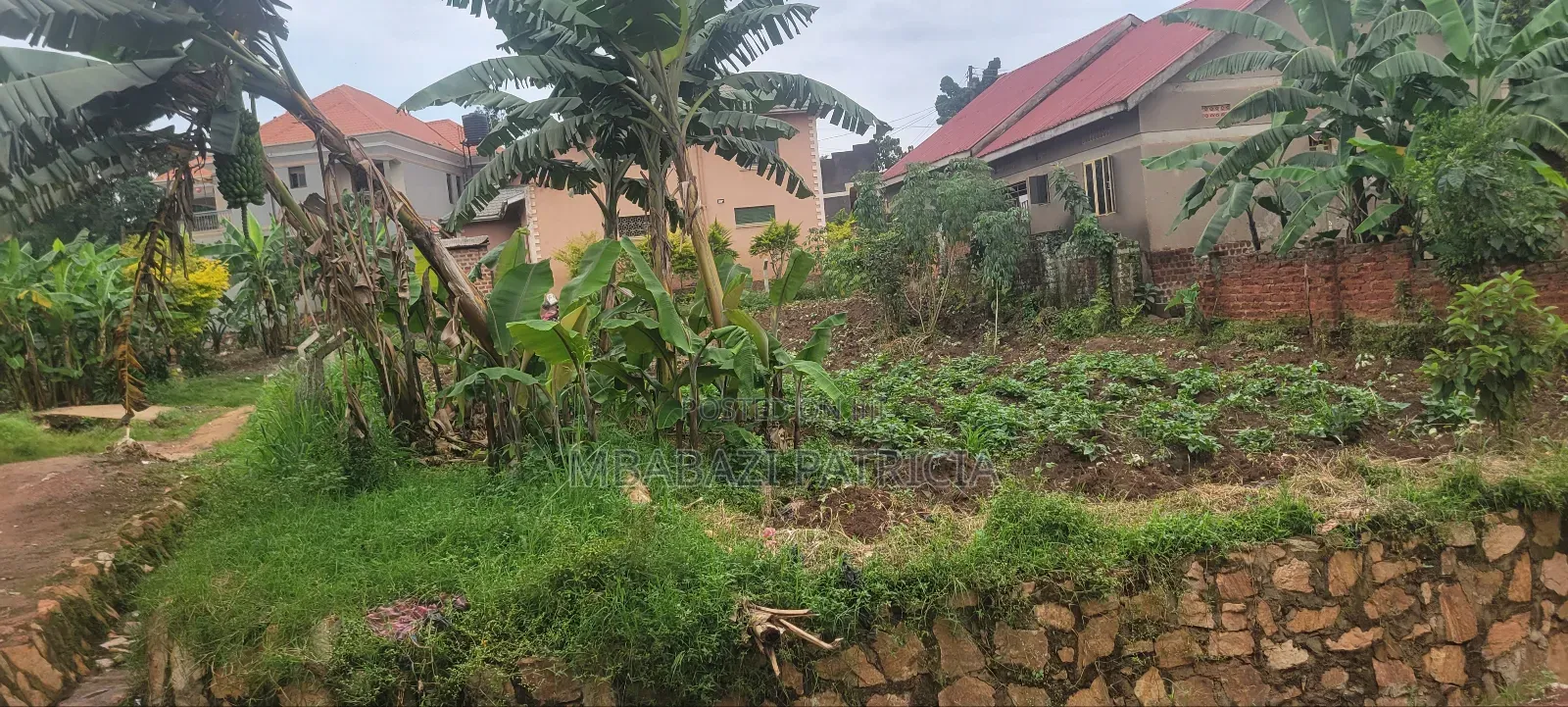 Plot for Sale in Nabweru