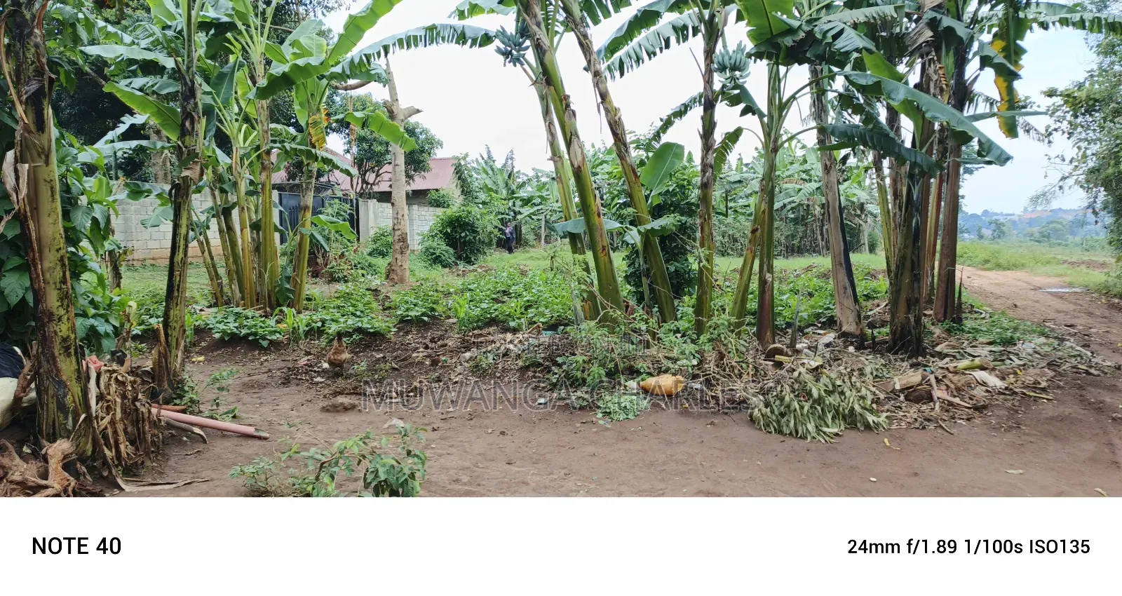 Plot for Sale in Gayaza in Nangabo