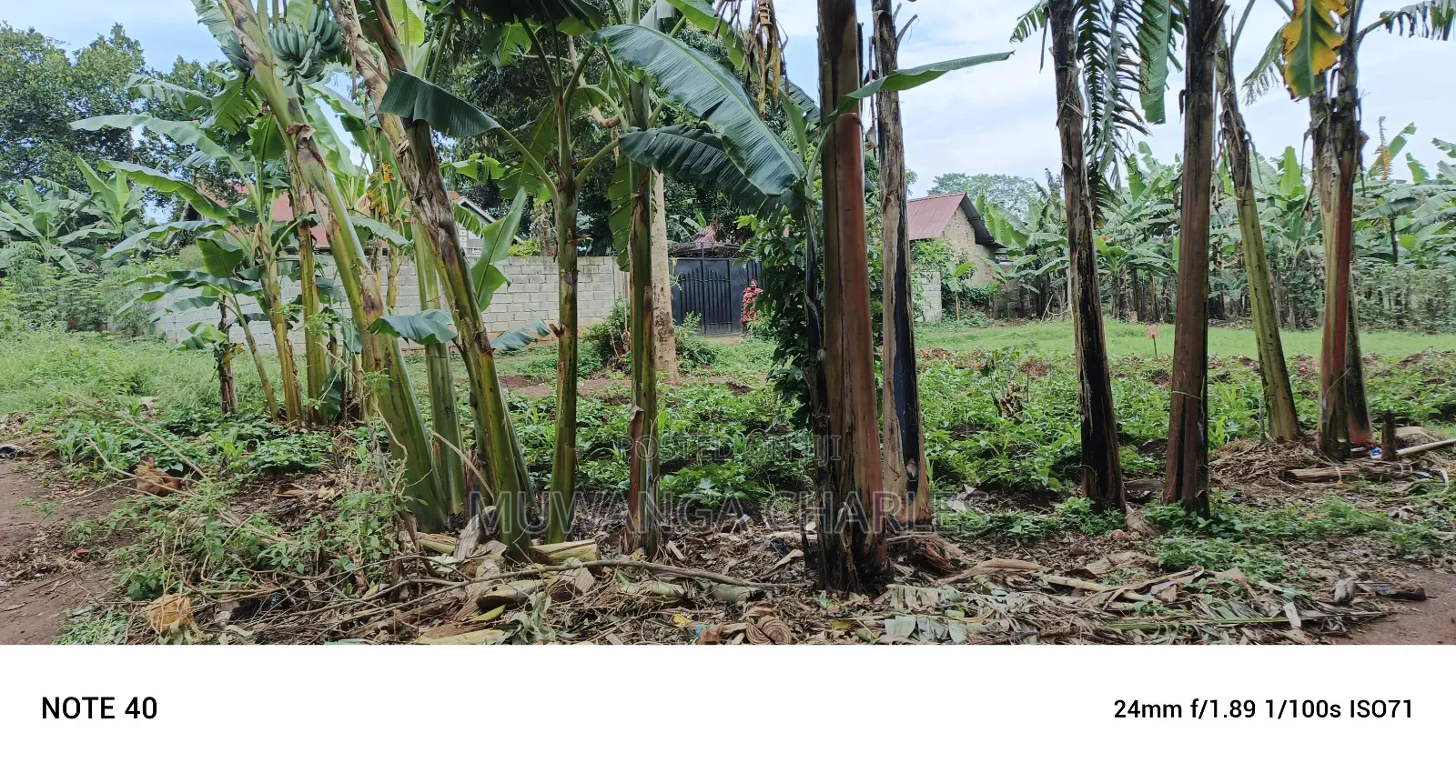 Plot for Sale in Gayaza in Nangabo