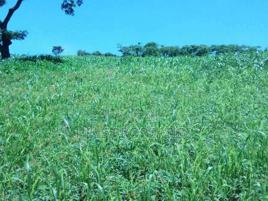 3acres of Commercial Land on Sale Located in Tooro Region in Kabalore