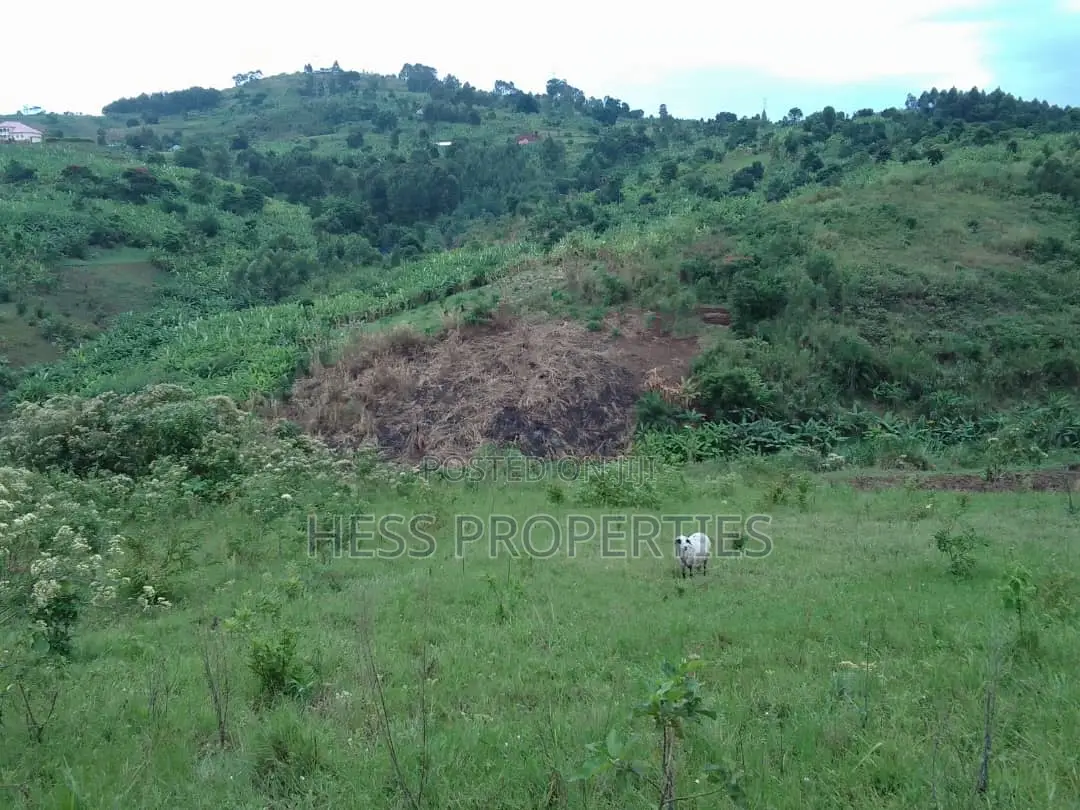 3acres of Commercial Land on Sale Located in Tooro Region in Kabalore