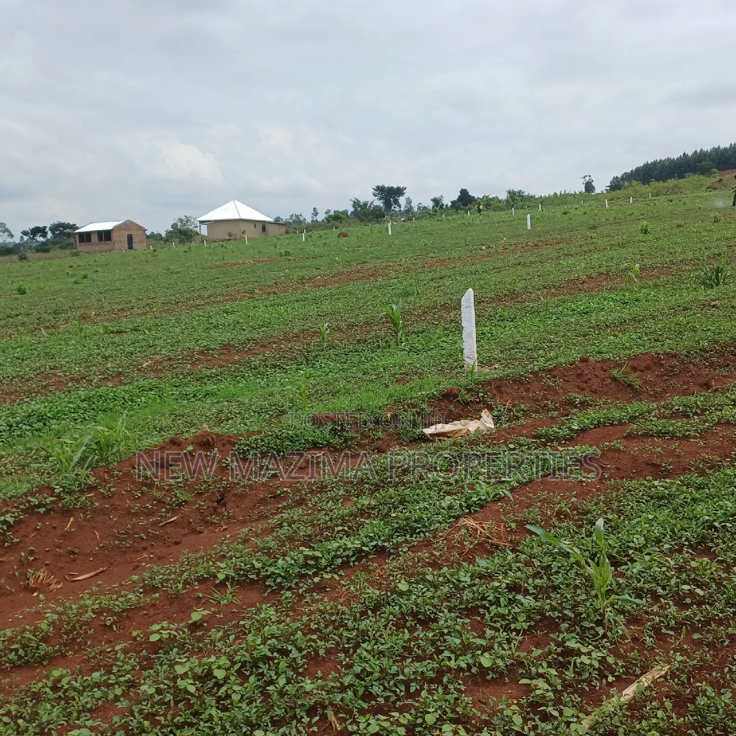Veryprime New Estate With Ready Private Title Onsale Katende in Division A