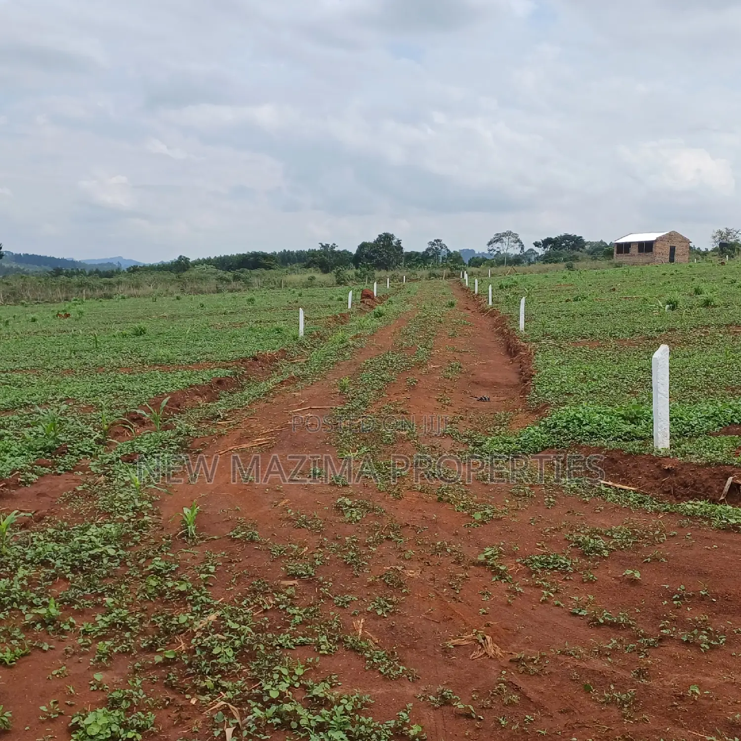 Veryprime New Estate With Ready Private Title Onsale Katende in Division A