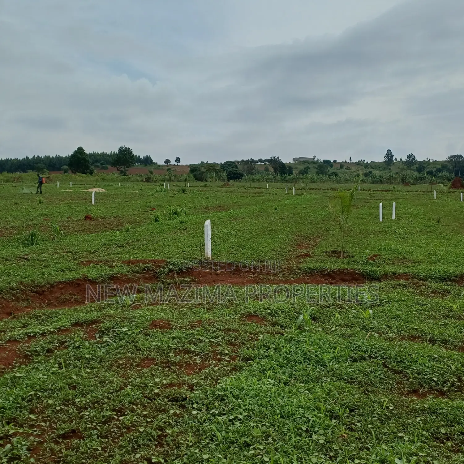 Veryprime New Estate With Ready Private Title Onsale Katende in Division A