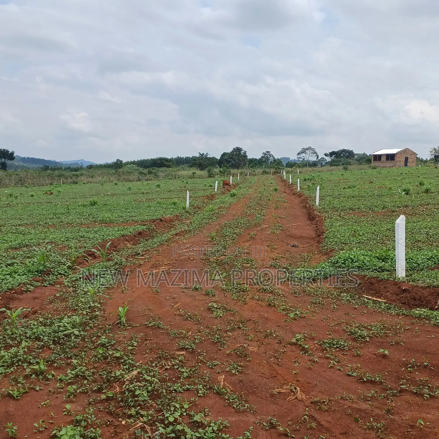 Veryprime New Estate With Ready Private Title Onsale Katende in Division A