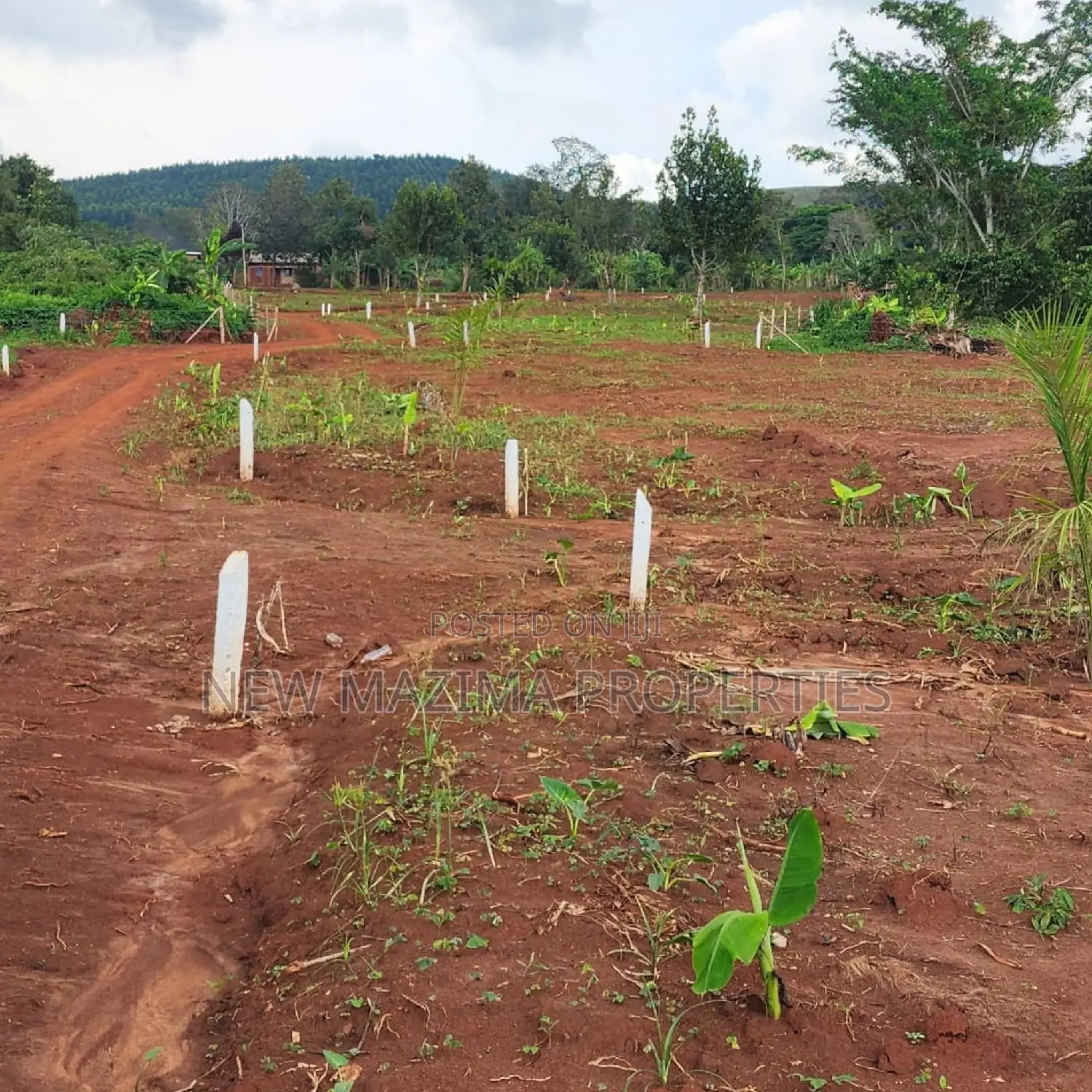 Arleady Private Mile Titled Plots Sale in Lungala Masaka Rd in Division A