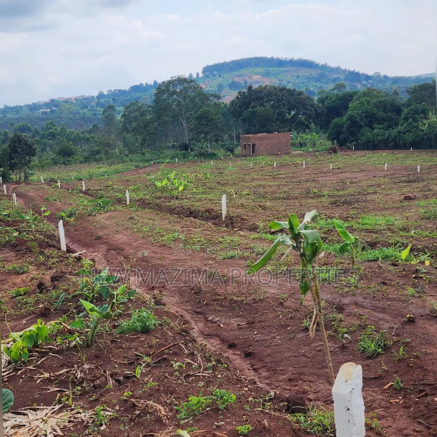 Arleady Private Mile Titled Plots Sale in Lungala Masaka Rd in Division A