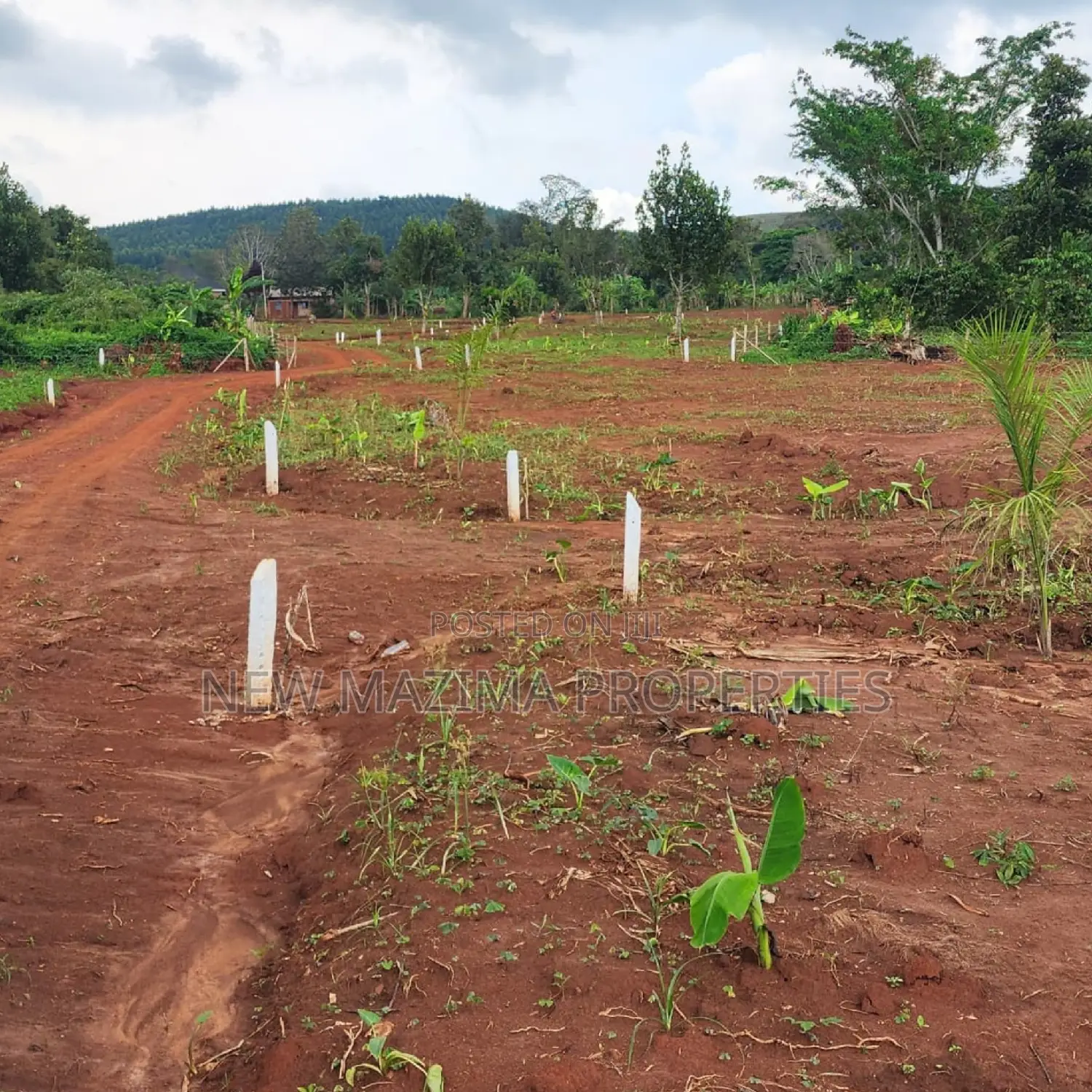 Arleady Private Mile Titled Plots Sale in Lungala Masaka Rd in Division A