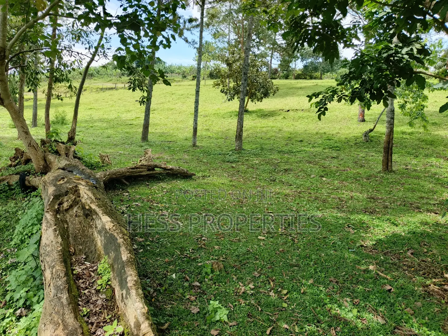 2acres of Land at Lake Saaka on Sale Located in Fortportal in Kabalore