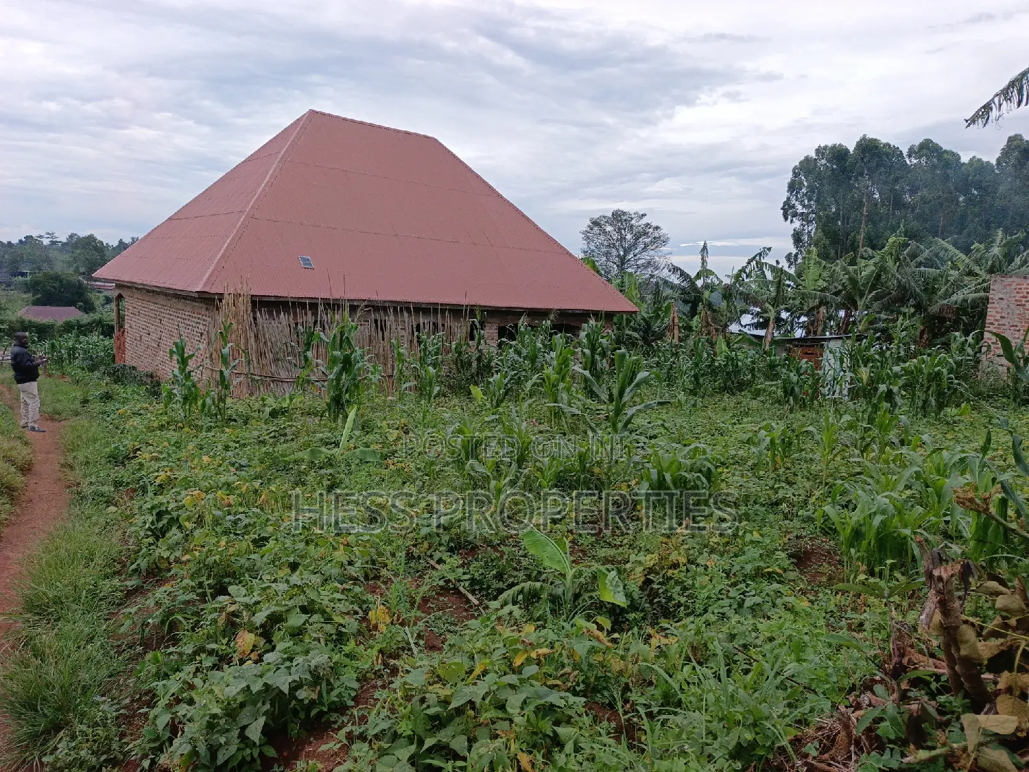 Commercial Property on Sale Located Kyenjojo Town Council in Kyenjojo