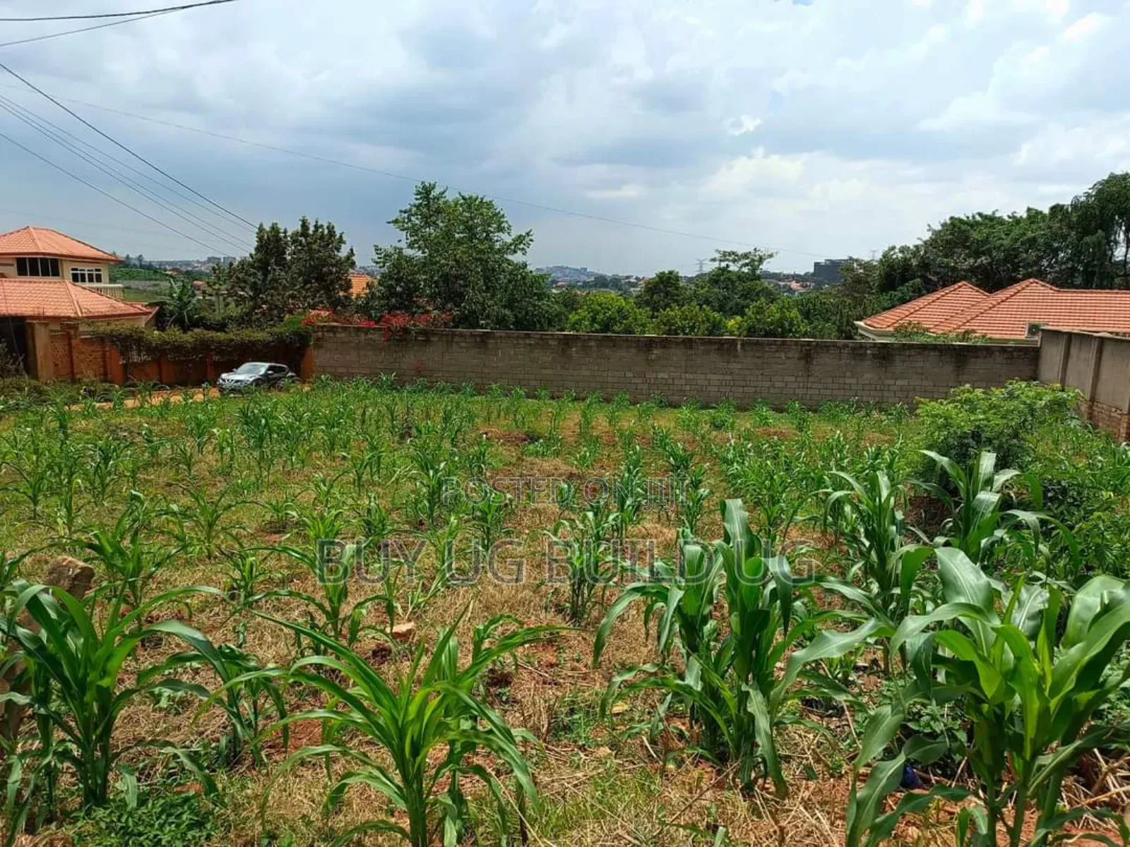 Plot on Sale Enclosed in a Wall Fence (100x100ft ) in Kira in Kira