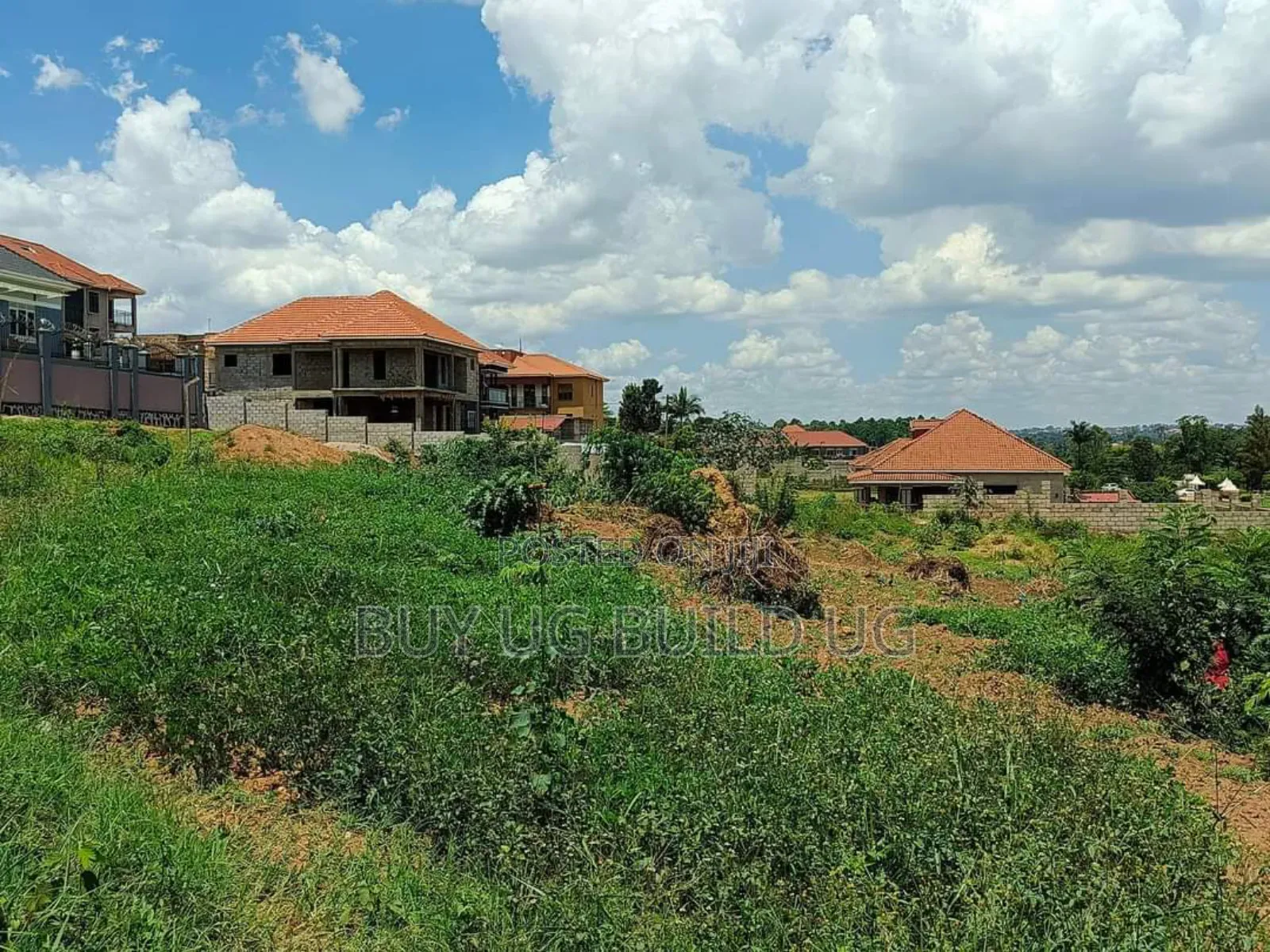 Quick Sale: Half an Acre(50 Decimals) Kira Shimoni Rd in Kira