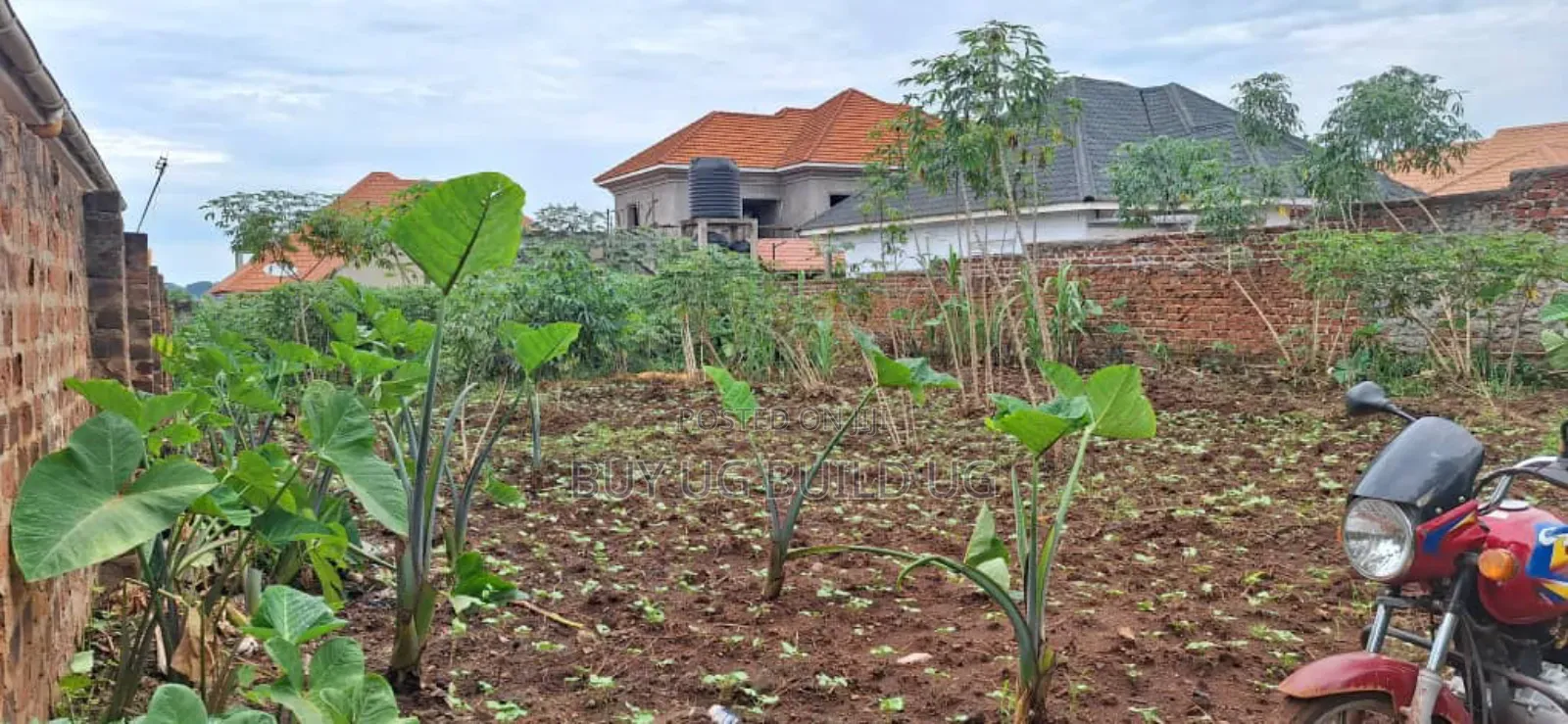*50x100ft Kira Bulindo Town 300 Meters Off Tarmac 100m in Kira