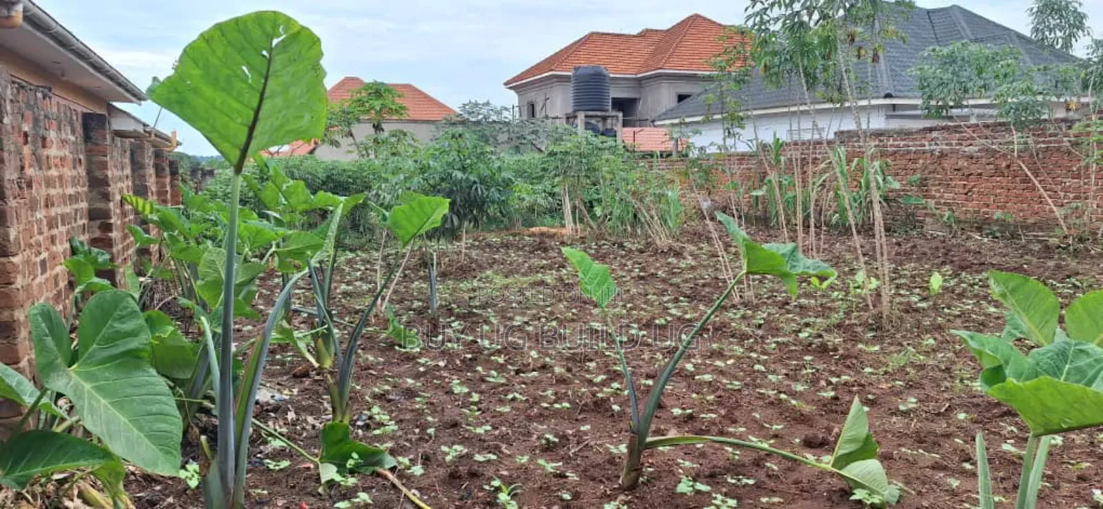 *50x100ft Kira Bulindo Town 300 Meters Off Tarmac 100m in Kira