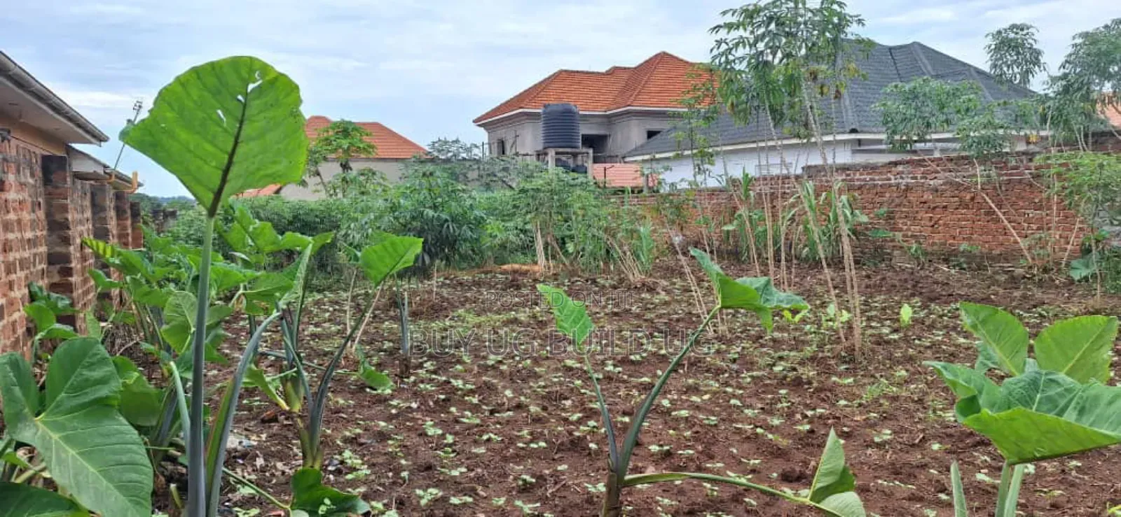 *50x100ft Kira Bulindo Town 300 Meters Off Tarmac 100m in Kira