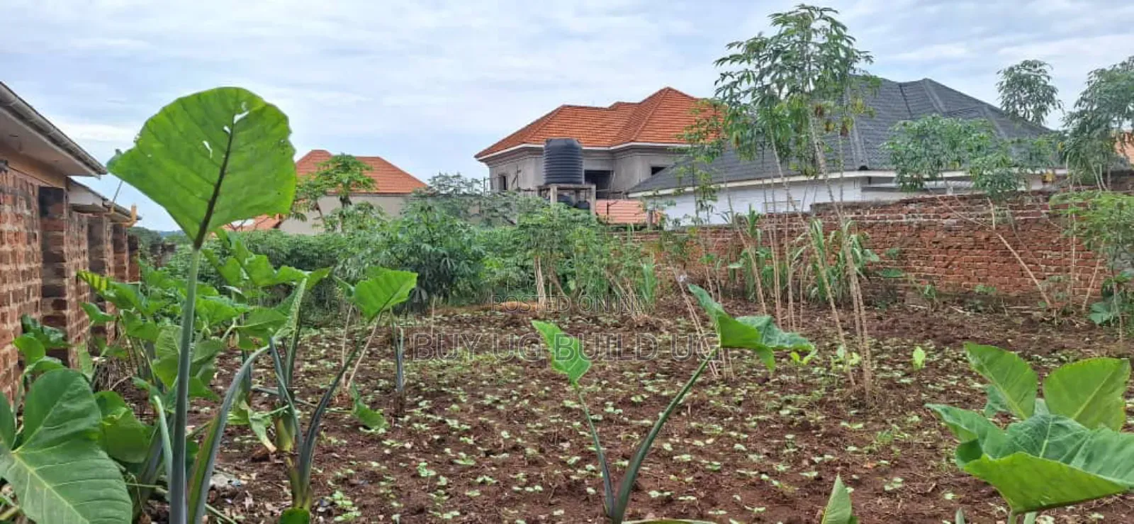 *50x100ft Kira Bulindo Town 300 Meters Off Tarmac 100m in Kira