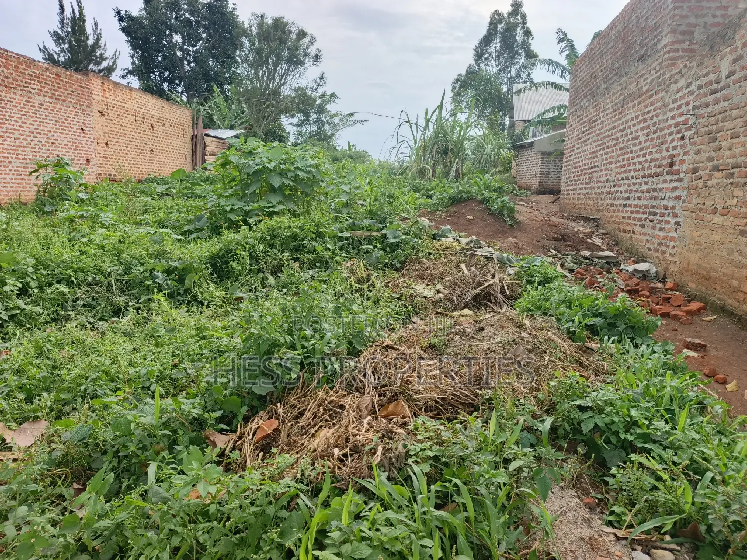 50by150fts Plot on Sale Located in Kyenjojo District-Bugaaki in Kyenjojo