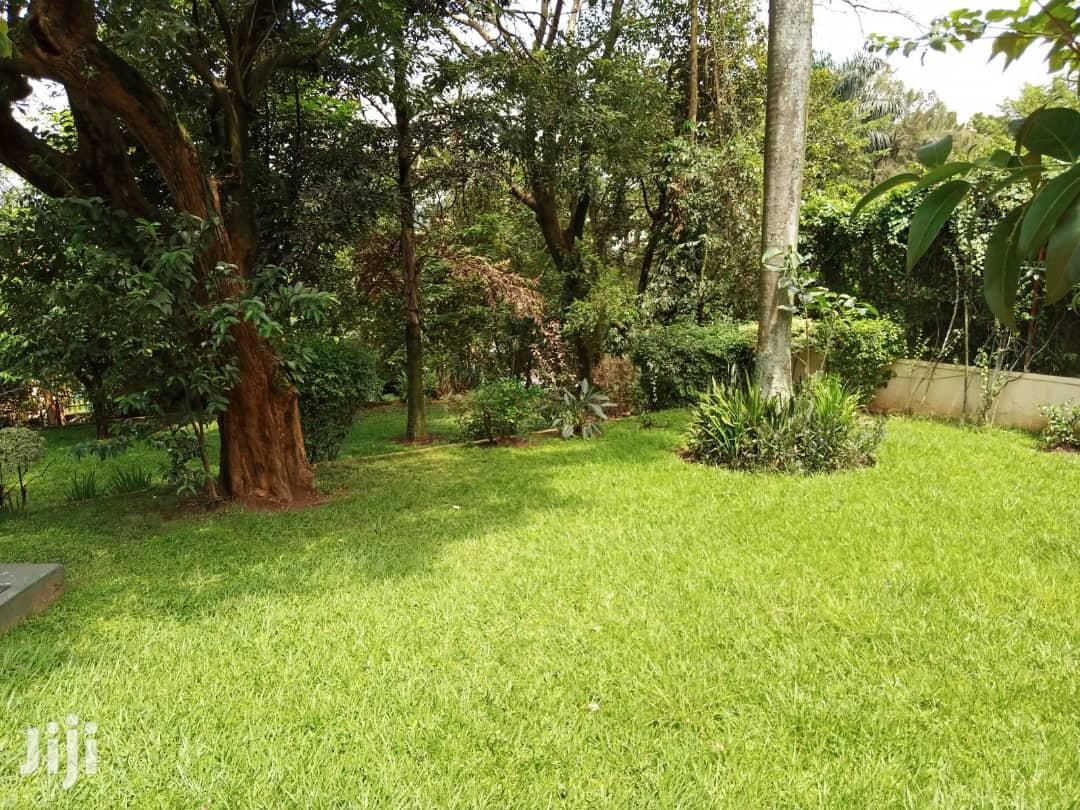 Four Bedroom House In Kololo For Rent in Kampala
