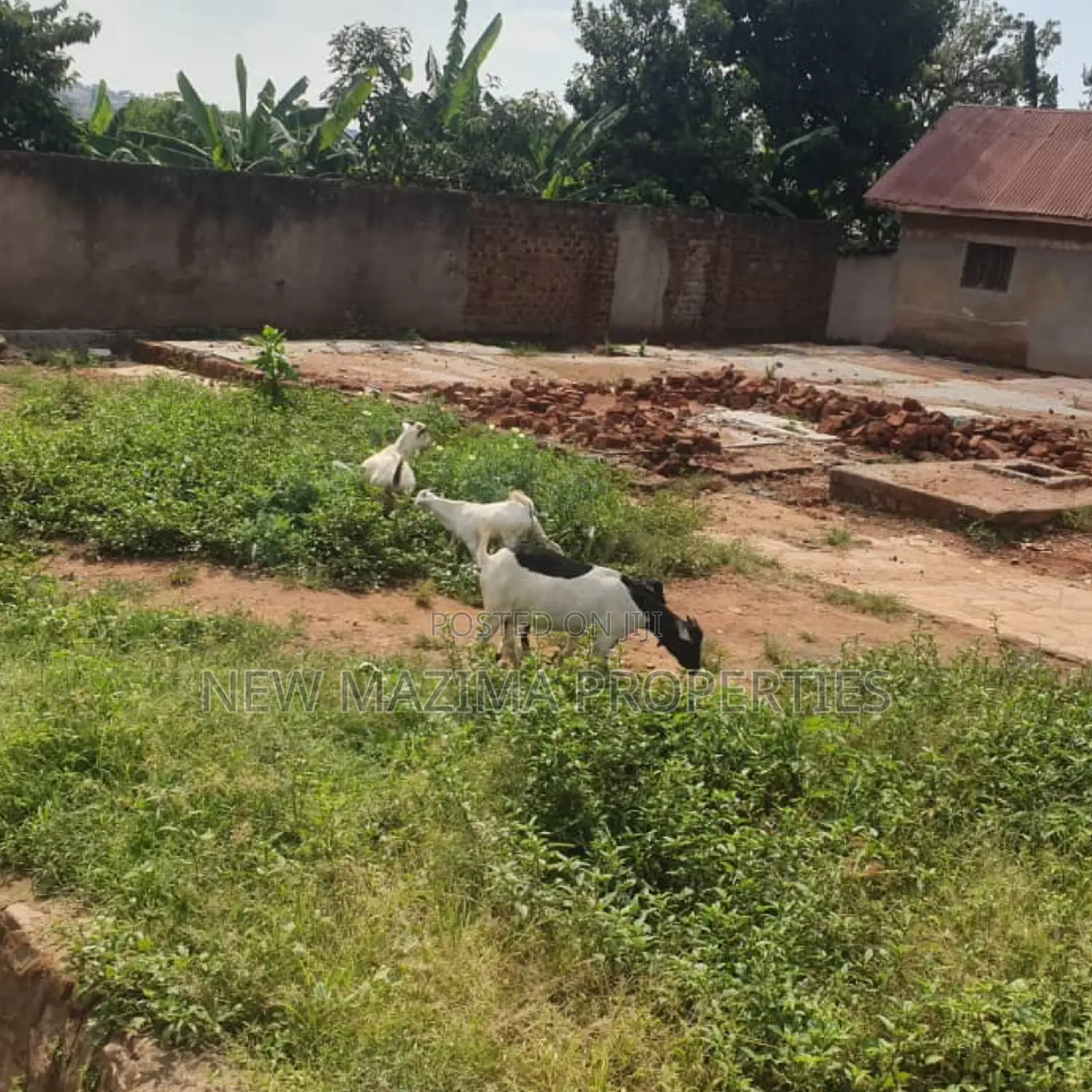 18 Decimals on Forced Sale in Heart of Kabowa With Tarmac Rd in Division A