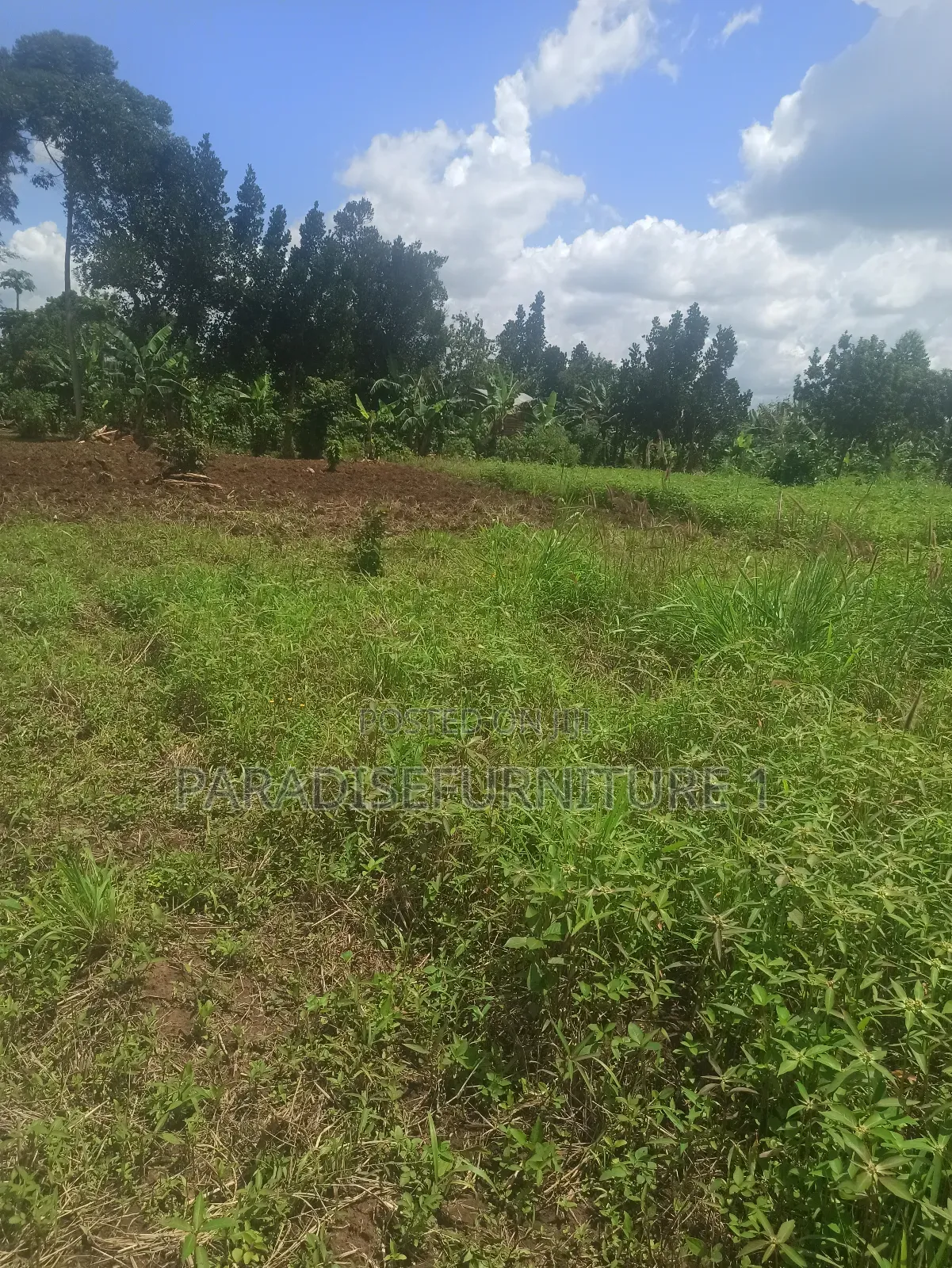 Plot on Sale 2.9m 25*50ft in Kasawo