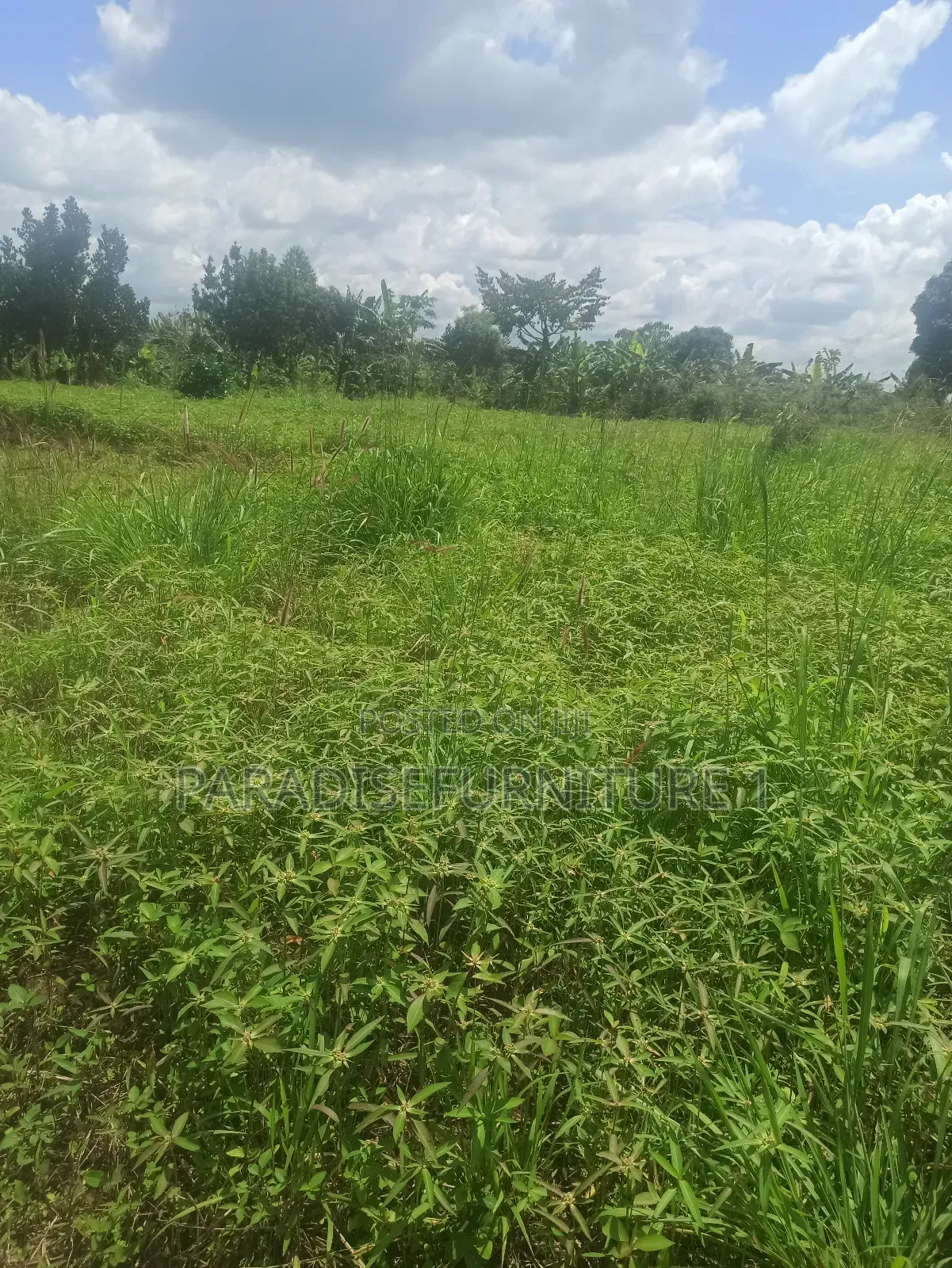 Plot on Sale 2.9m 25*50ft in Kasawo