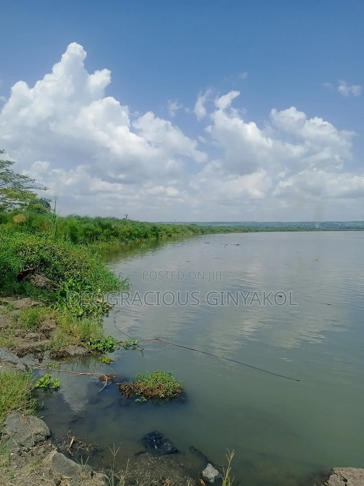 Farmland in Nwoya for Sale in Gulu