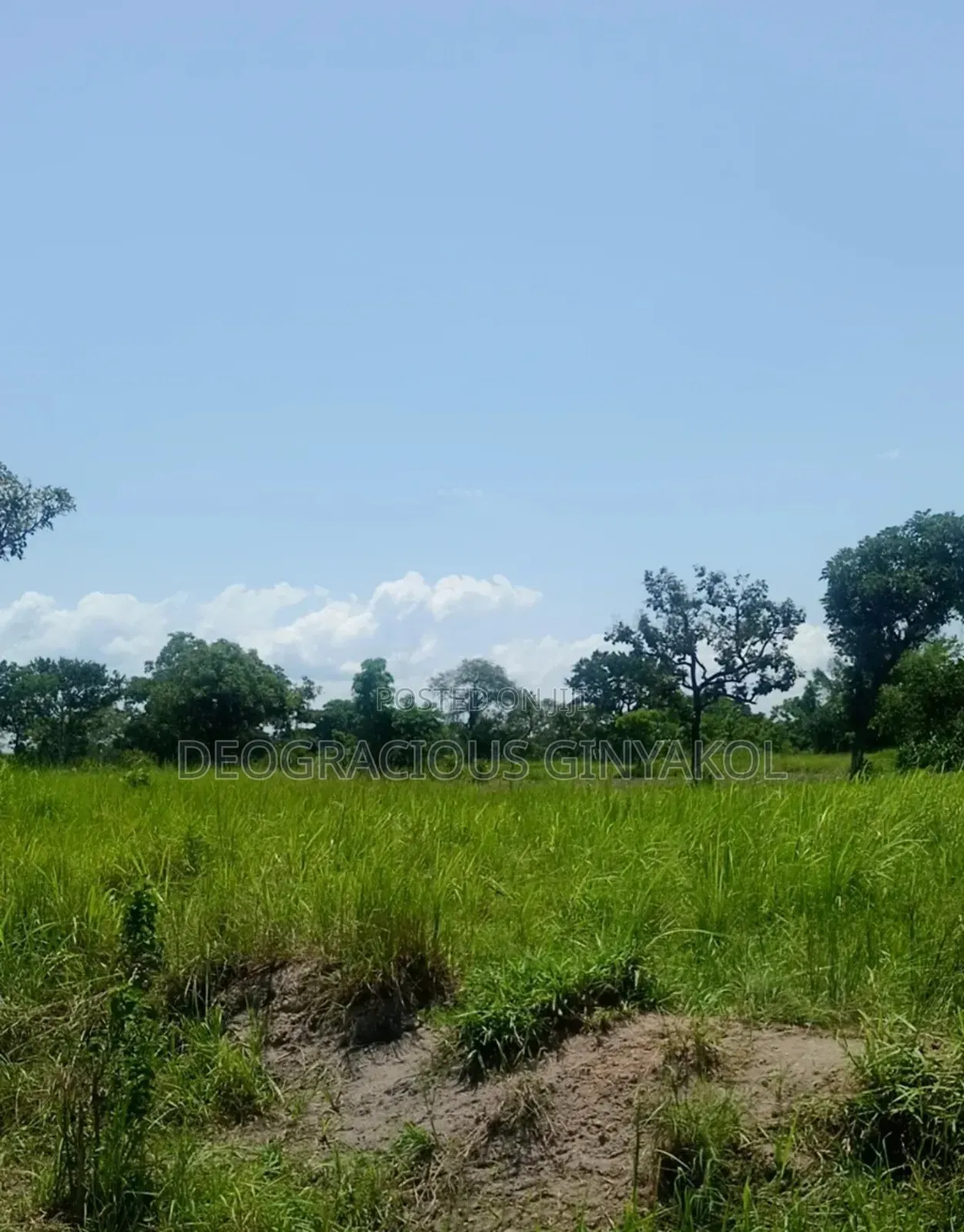 Farmland in Nwoya for Sale in Gulu