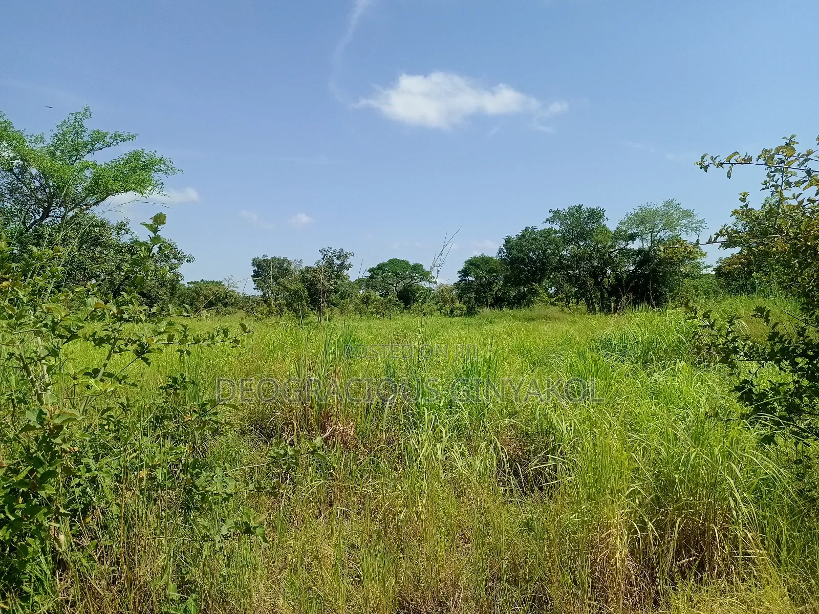 Farmland in Nwoya for Sale in Gulu