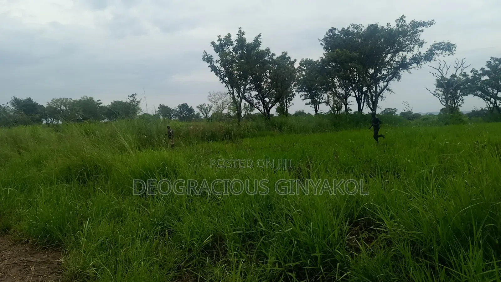 Farmland in Nwoya for Sale in Gulu
