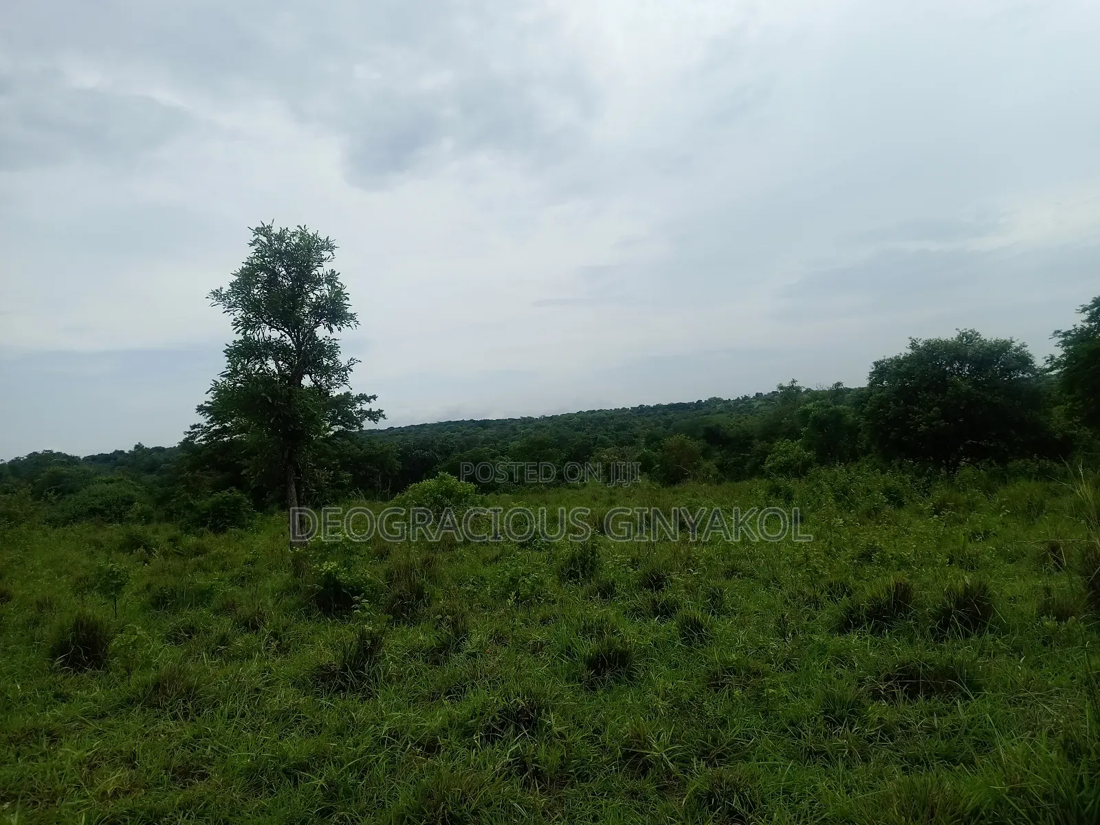 Agriculture Farmland for Sale in Northern Uganda in Gulu