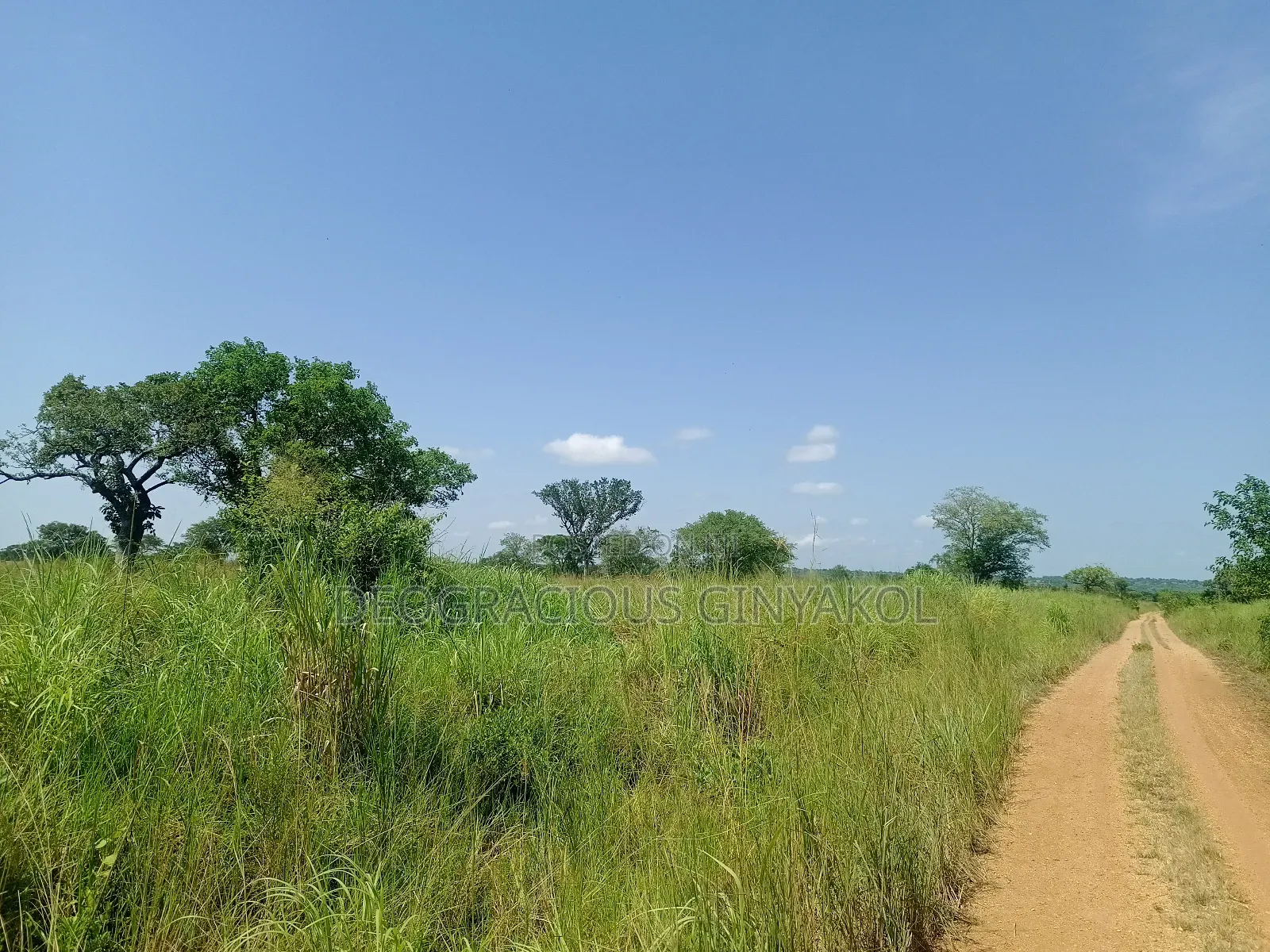 Agriculture Farmland for Sale in Northern Uganda in Gulu