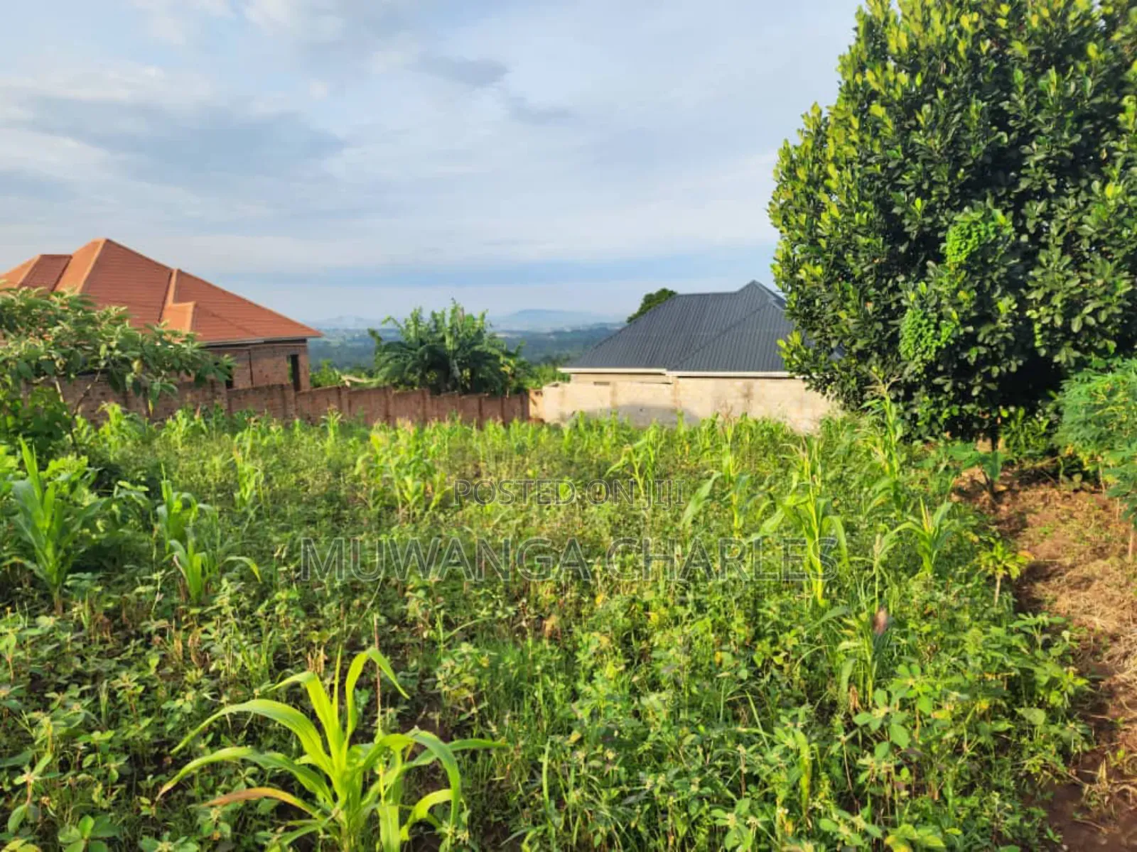 Plot for Sale in Buwaate in Division A