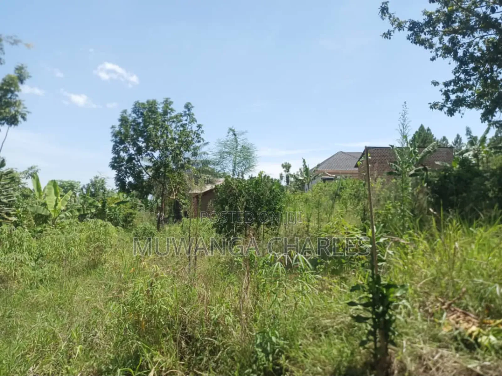 Plot's for Sale in Wakiso in Division A