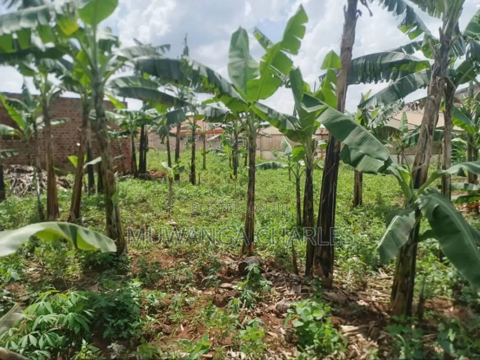 Plot for Sale in Gayaza Kabubbu in Division A