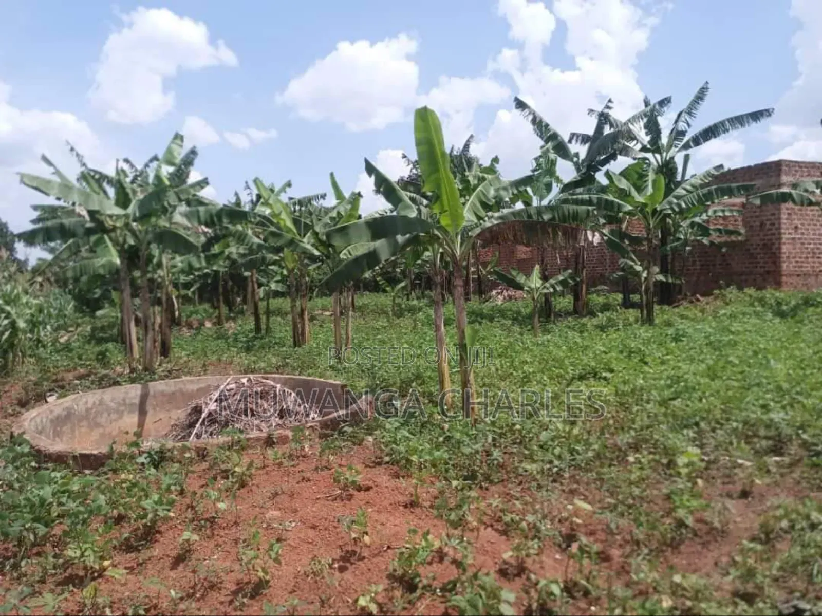 Plot for Sale in Gayaza Kabubbu in Division A
