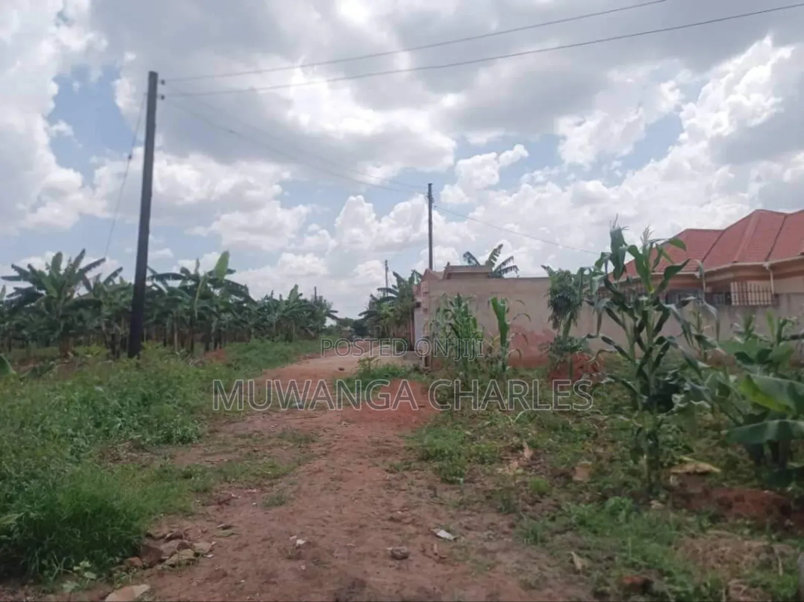 Plot for Sale in Gayaza Kabubbu in Division A