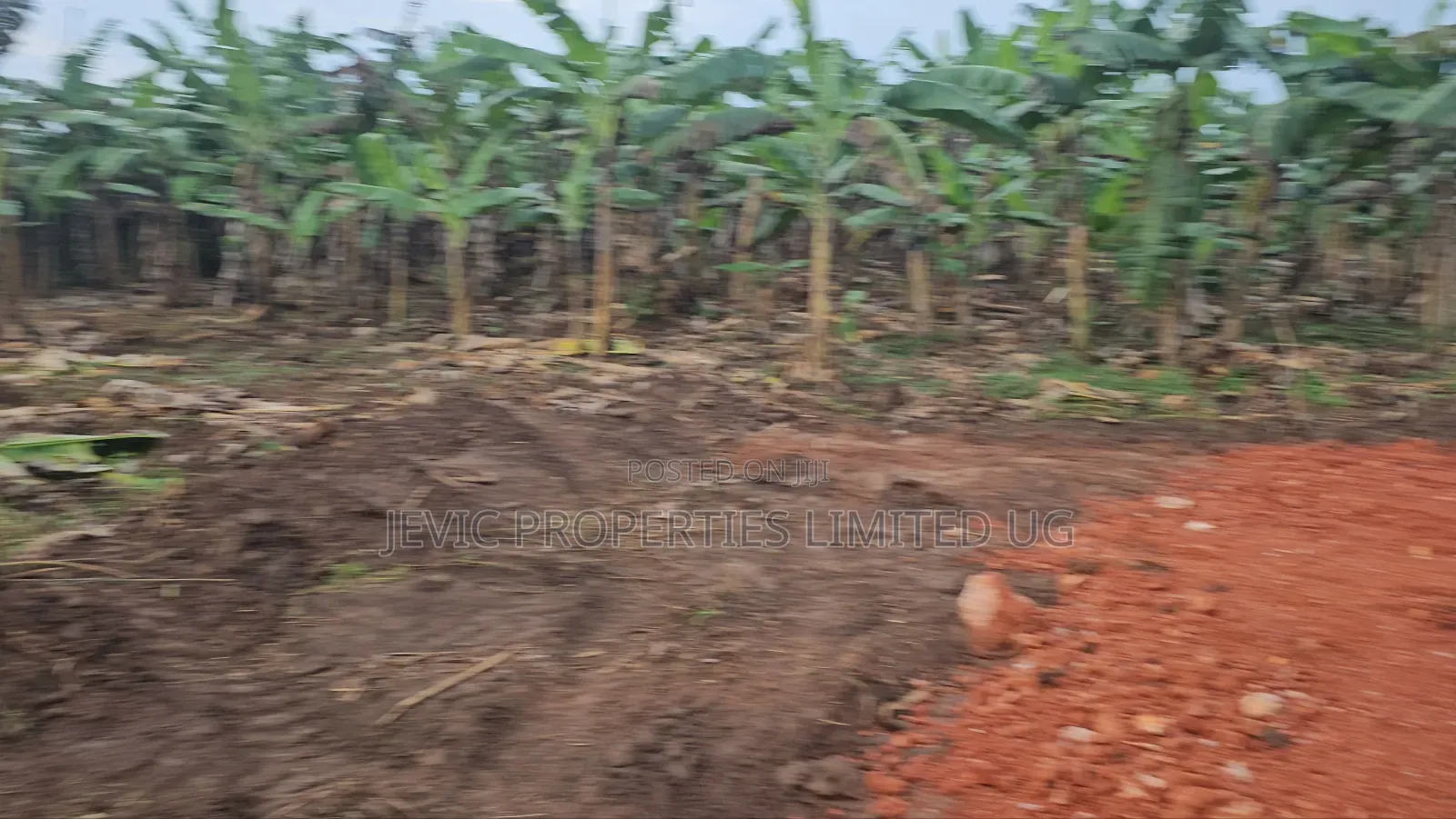 Hot Titled Plots for Sale Kakiri Town in Wakiso / Wakiso