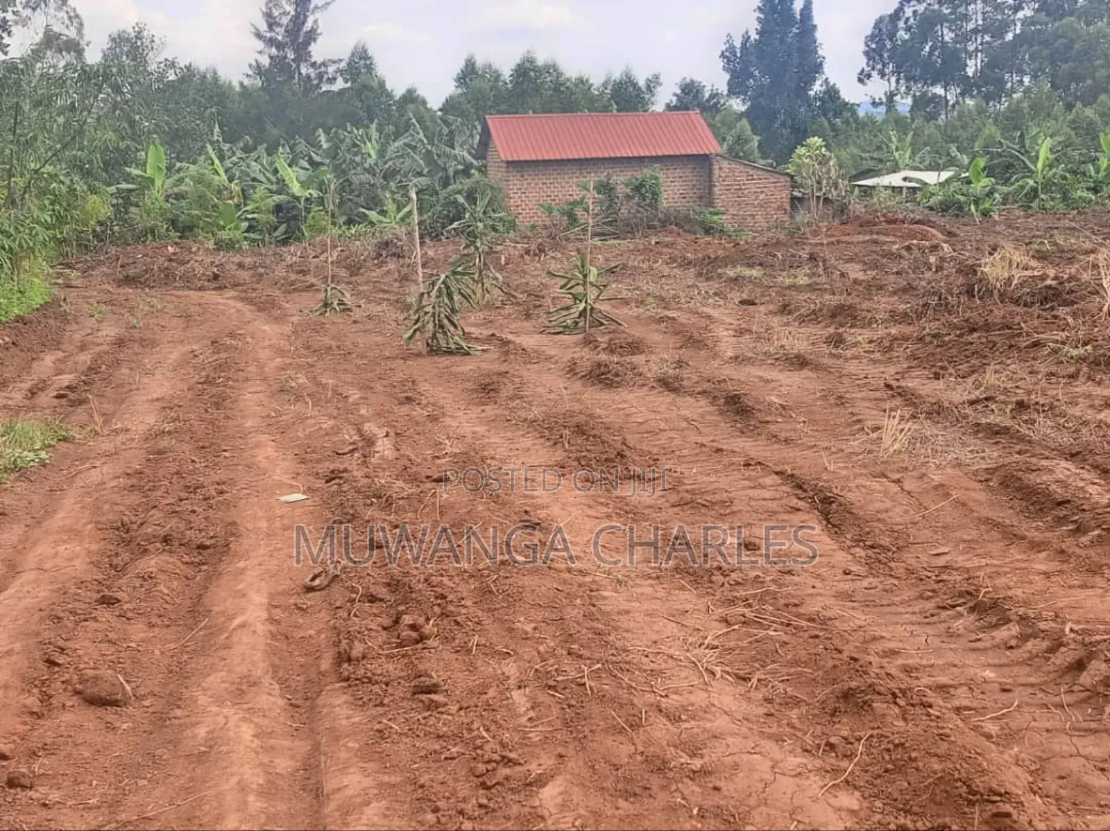 Plot's for Sale in Gayaza in Wakiso / Wakiso