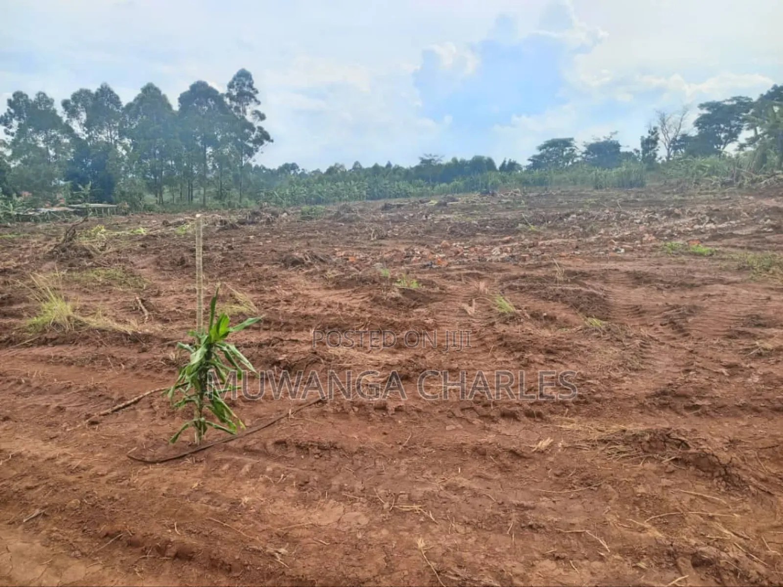 Plot's for Sale in Gayaza in Wakiso / Wakiso