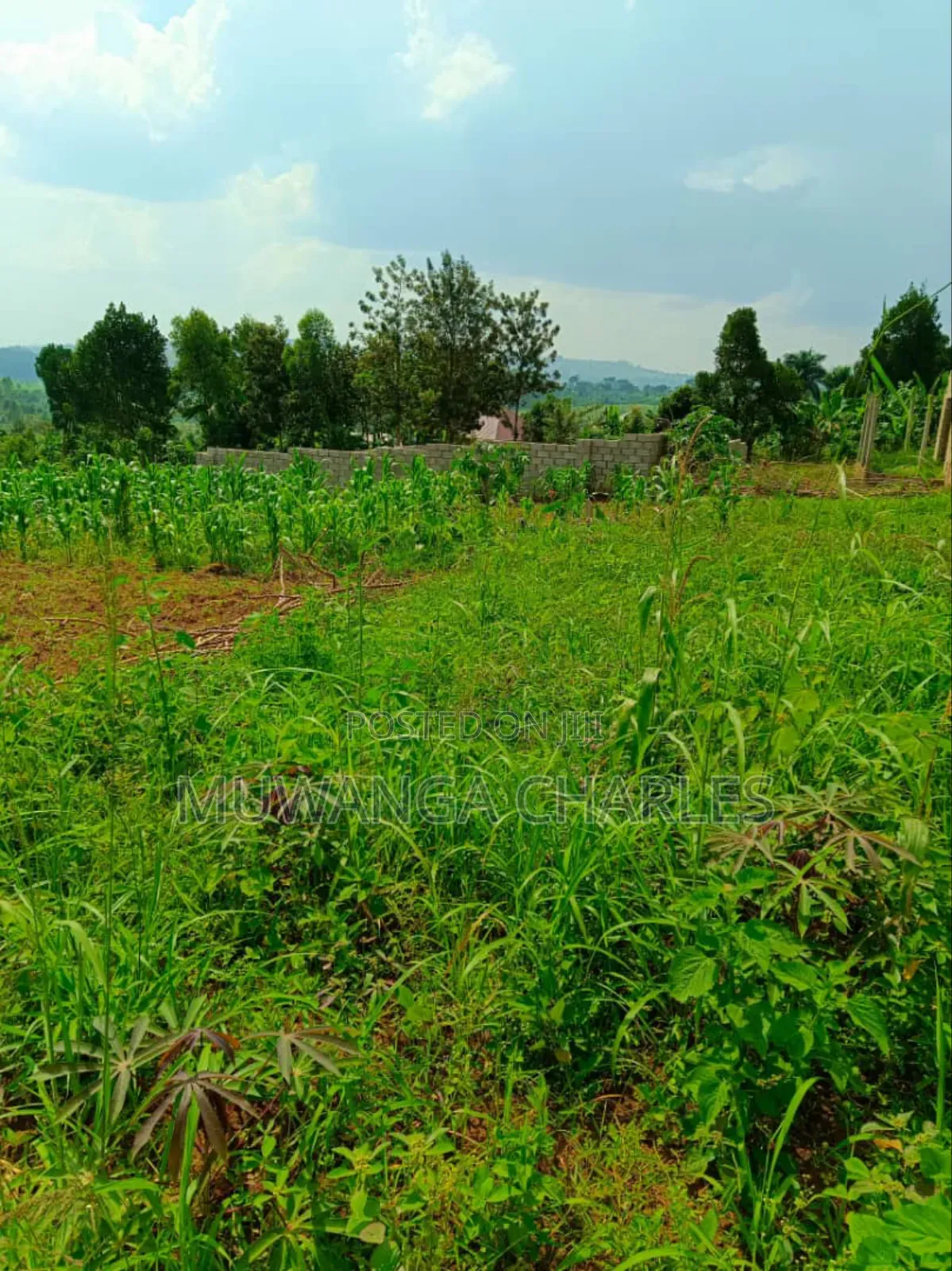 Plot's for Sale in Gayaza in Wakiso / Wakiso