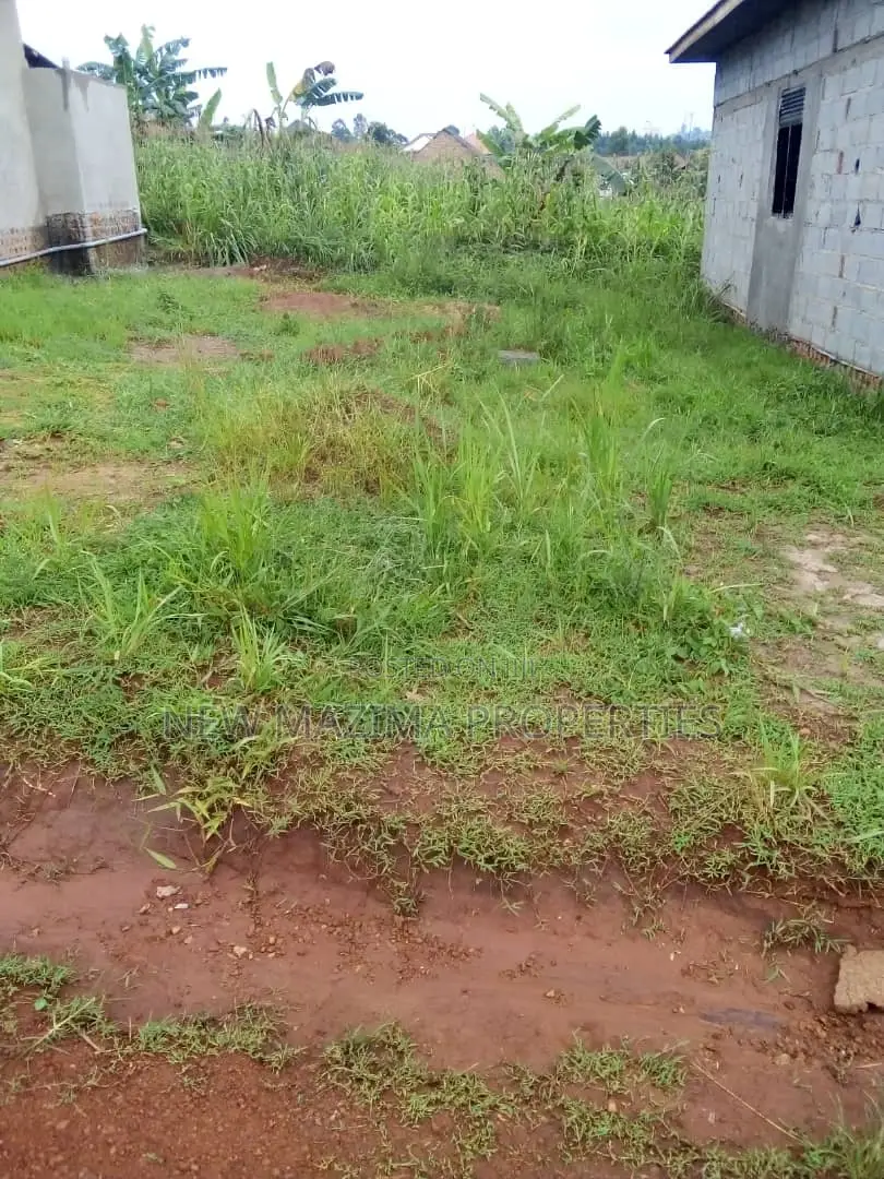Very Beautiful Plot on Quicksale in Nsangi Town at Gd Prices in Division A