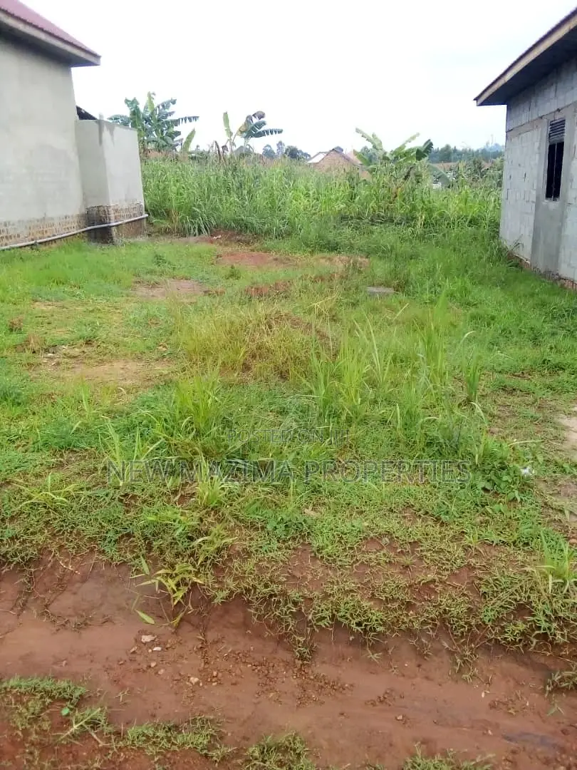 Very Beautiful Plot on Quicksale in Nsangi Town at Gd Prices in Division A
