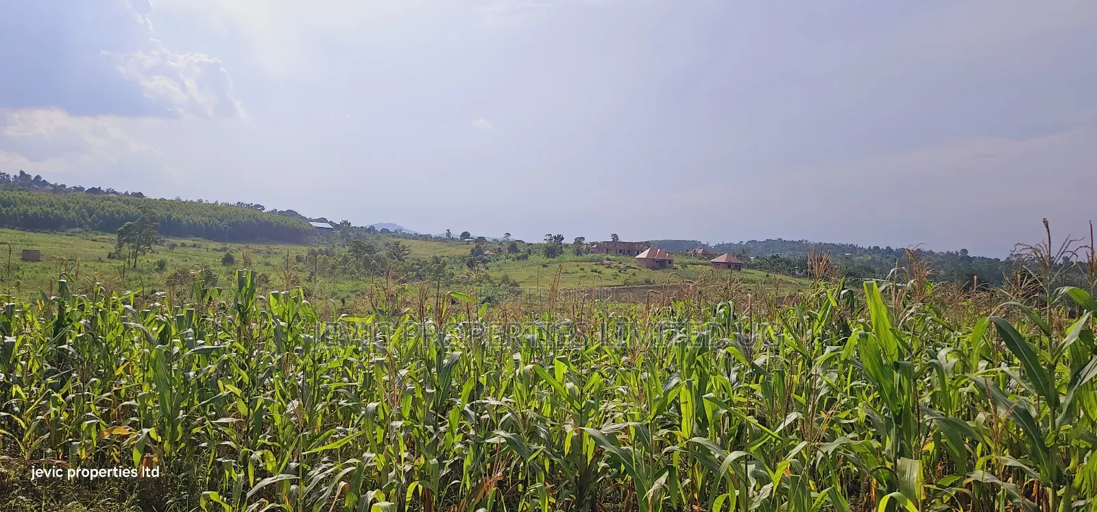 Grow Your Wealth Through Investing in Land in Kakiri