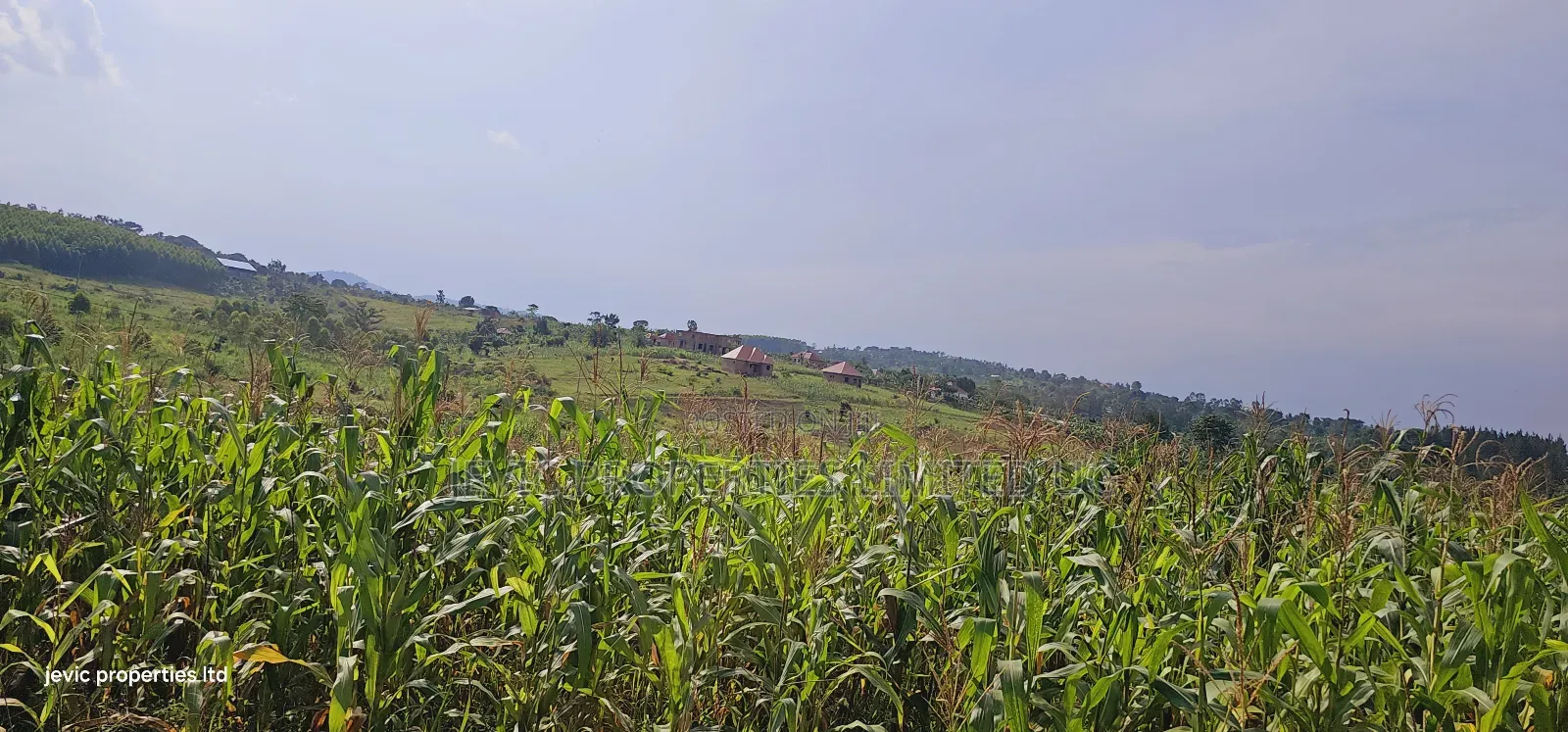 Own a Piece of Paradise: Land for Sale in Kakiri