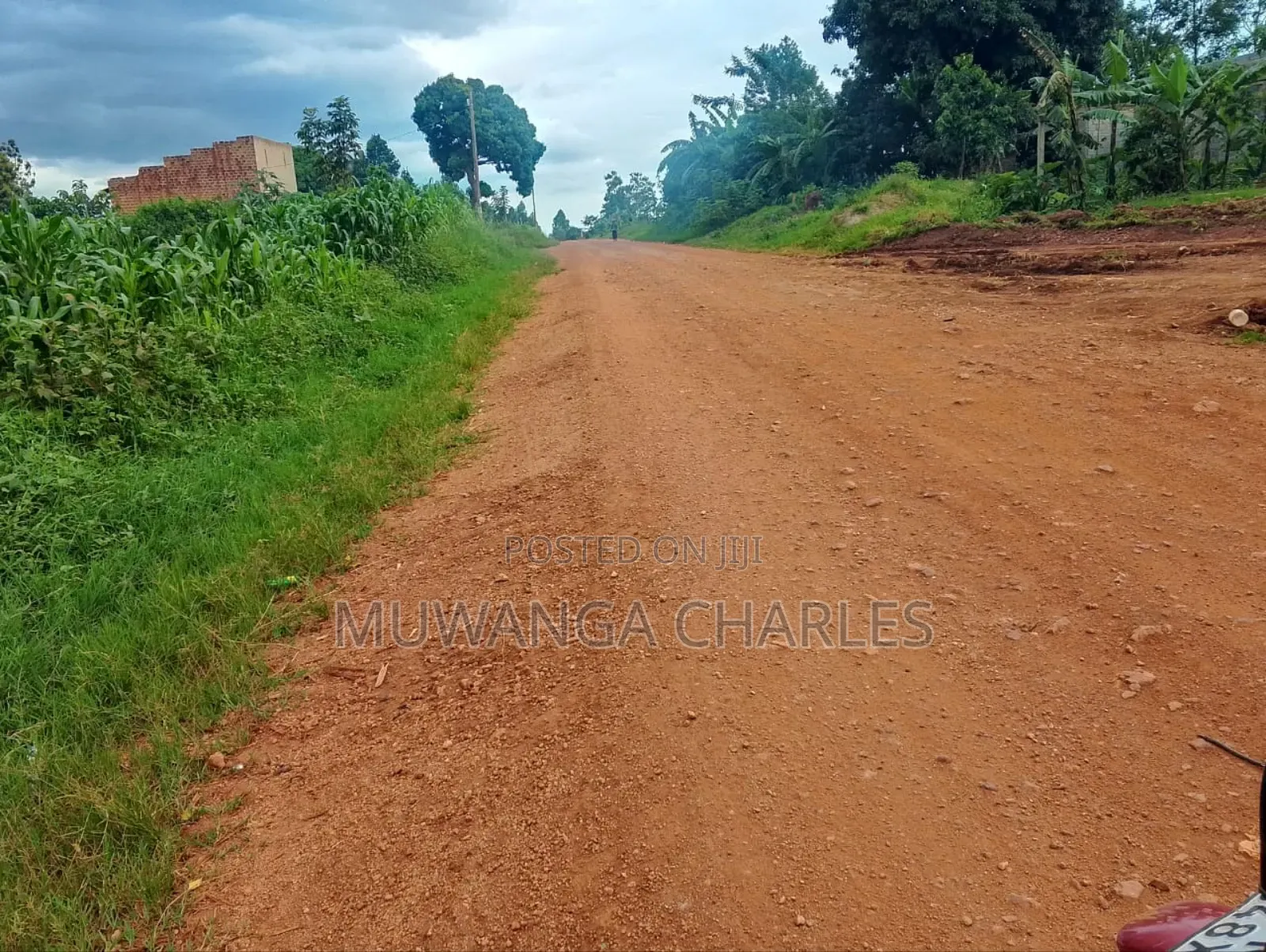 3acres I Land for Sale in Kalagala in Luwero / Luwero