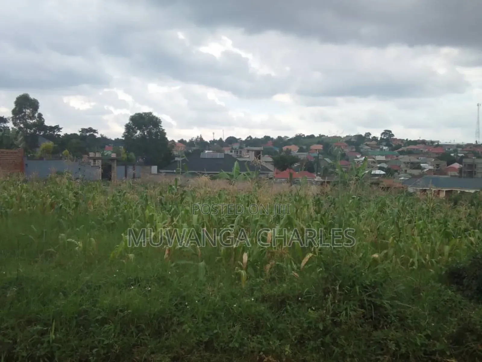 3acres I Land for Sale in Kalagala in Luwero / Luwero