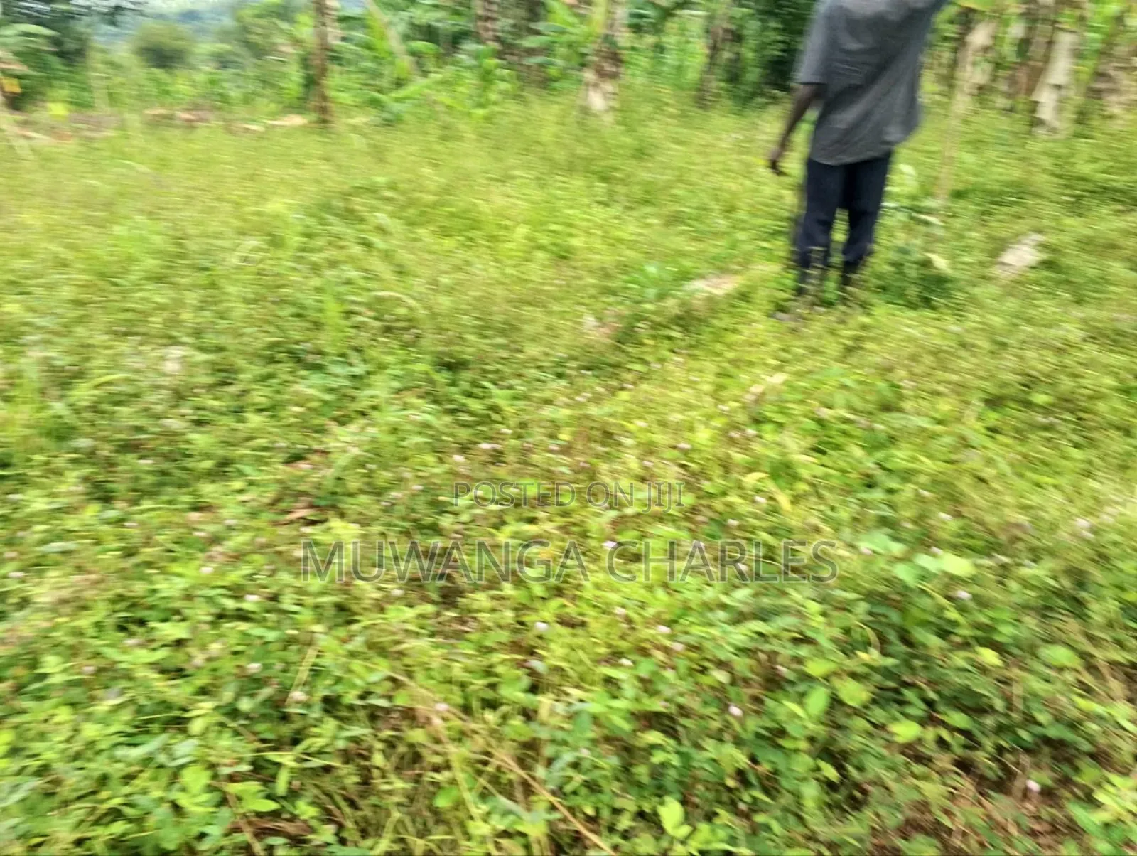 Plot for Sale in Kitetika in Division A
