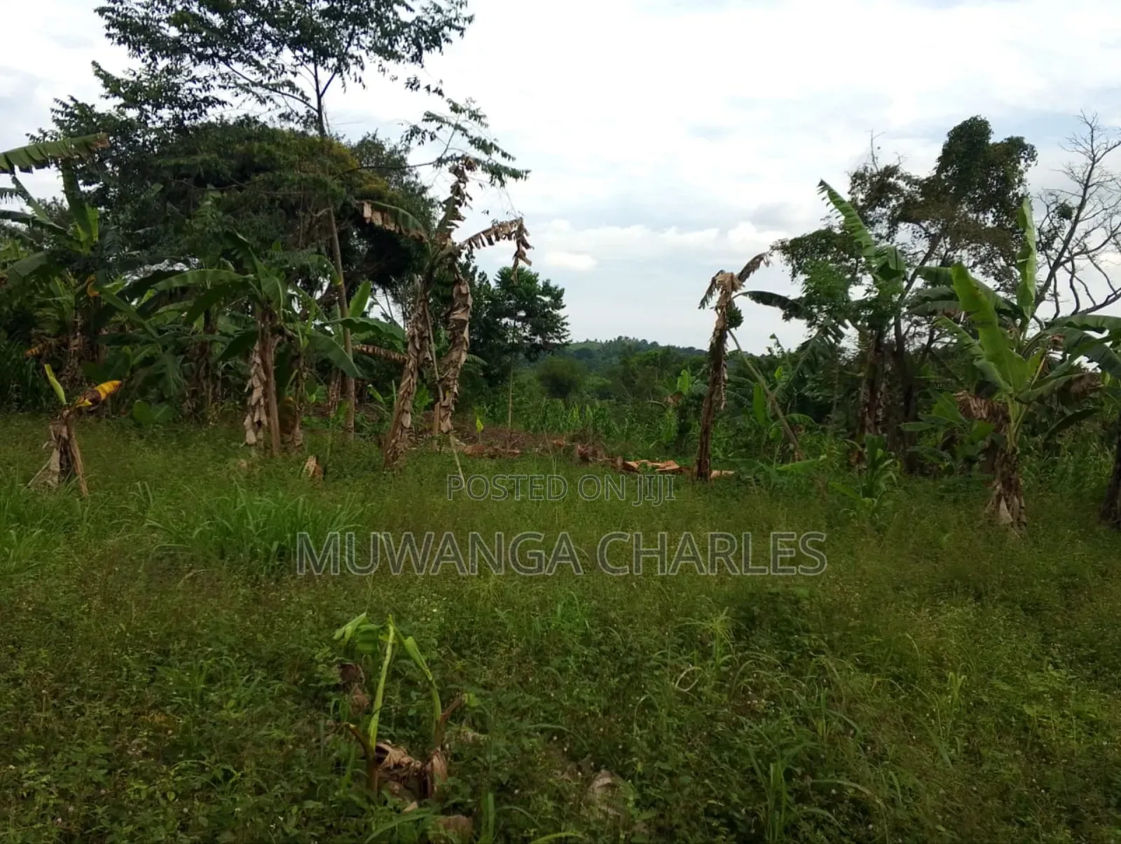 Plot for Sale in Kitetika in Division A